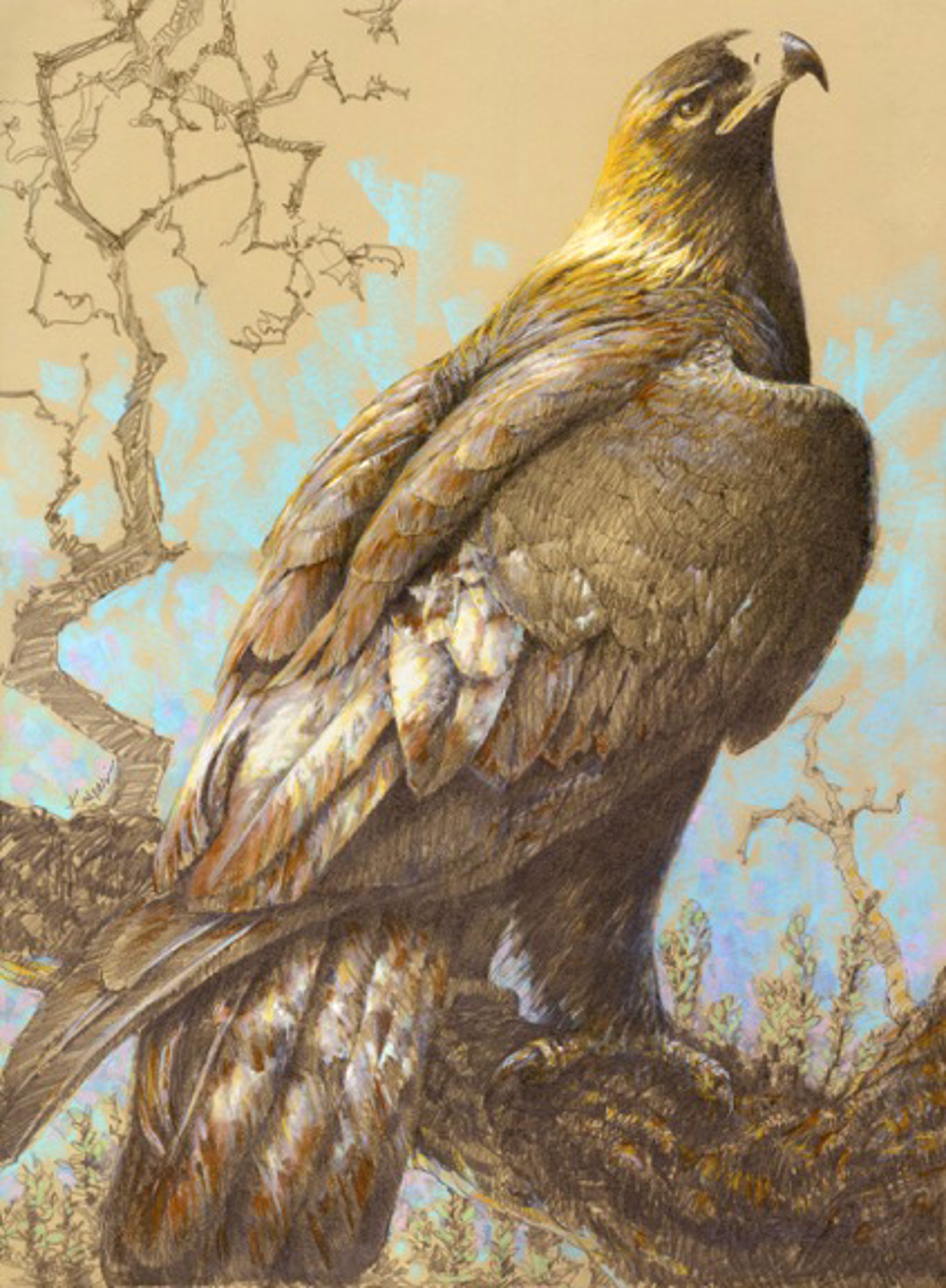 High Frontier, Golden Eagle by Debby Kaspari