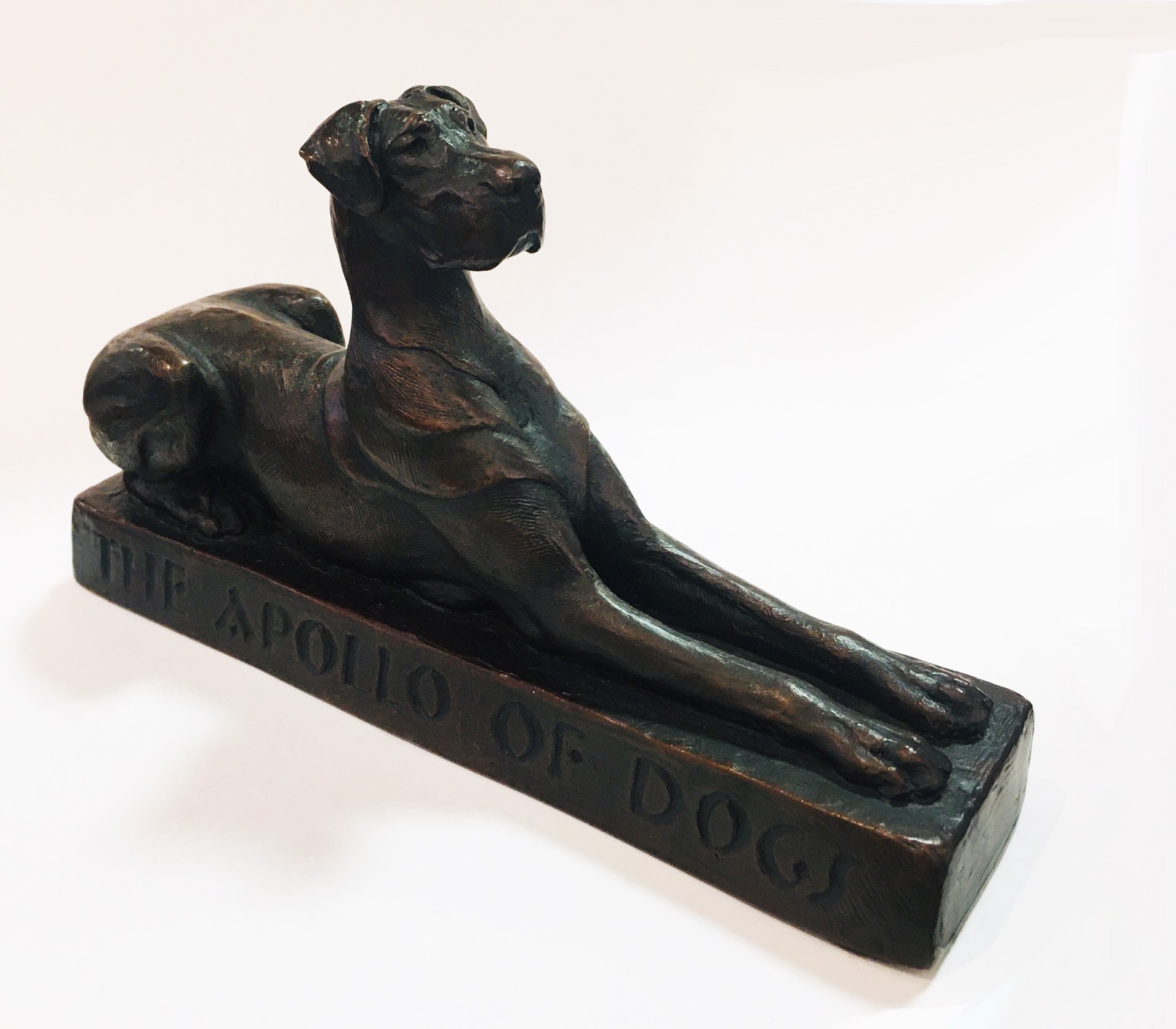 Apollo of Dogs (Small, bronze, Natural) by LOUISE PETERSON