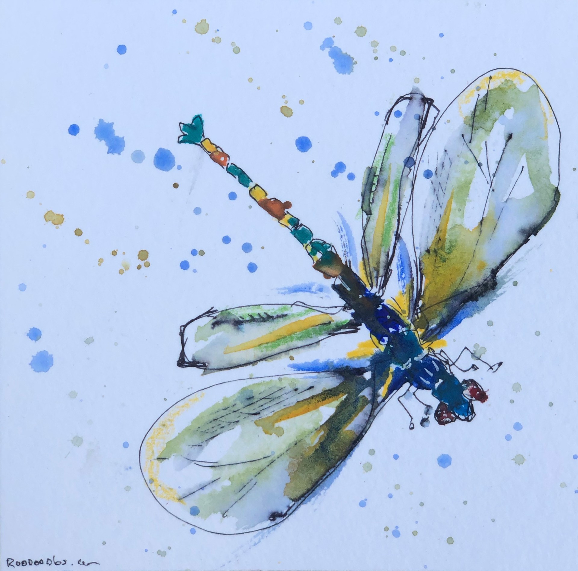 Dragonfly I by Michael Haun
