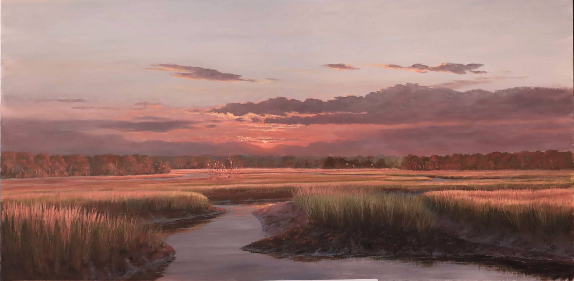 Sunset Light II by Douglas Grier