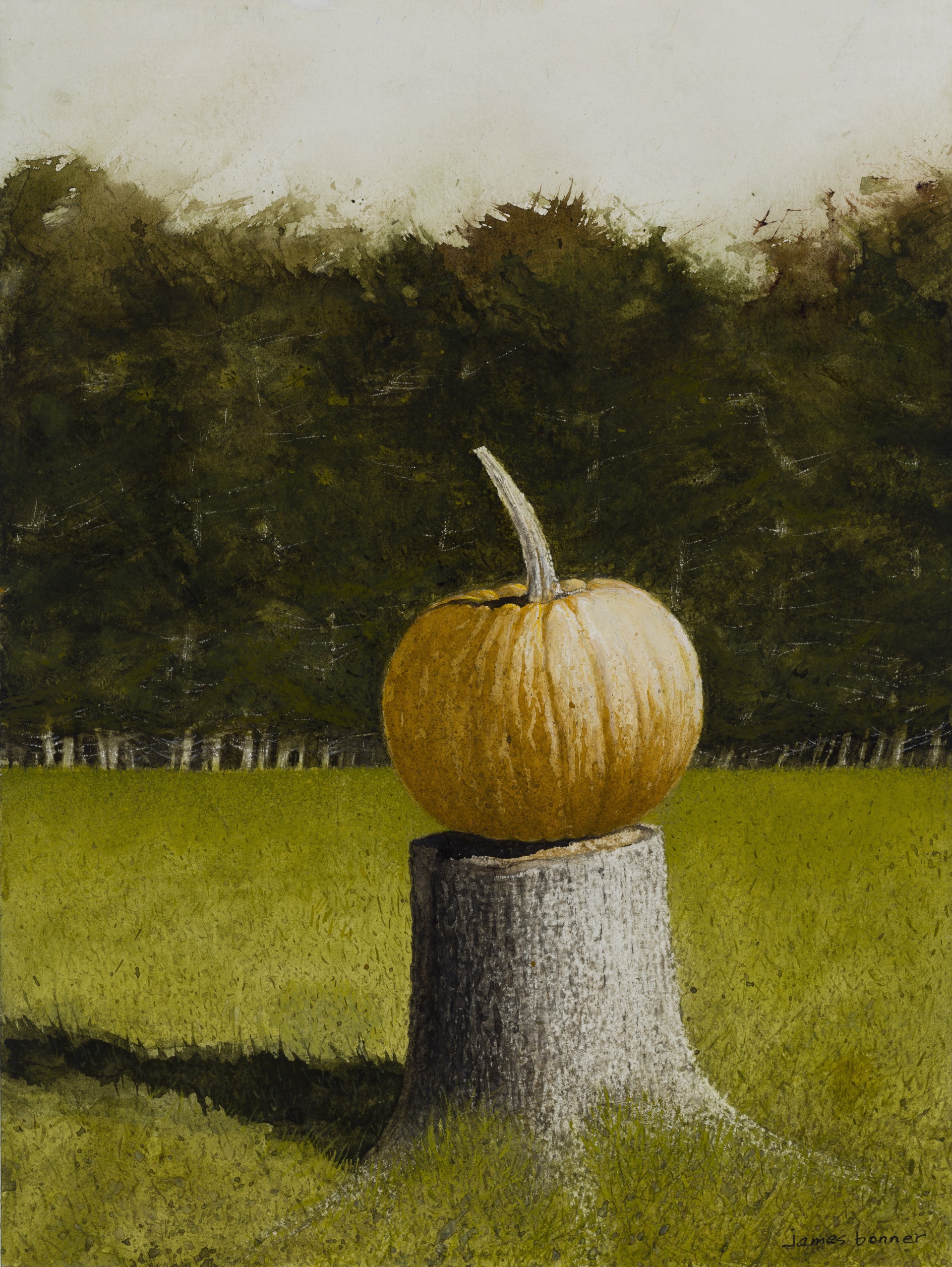Pumpkin Stump by James Bonner