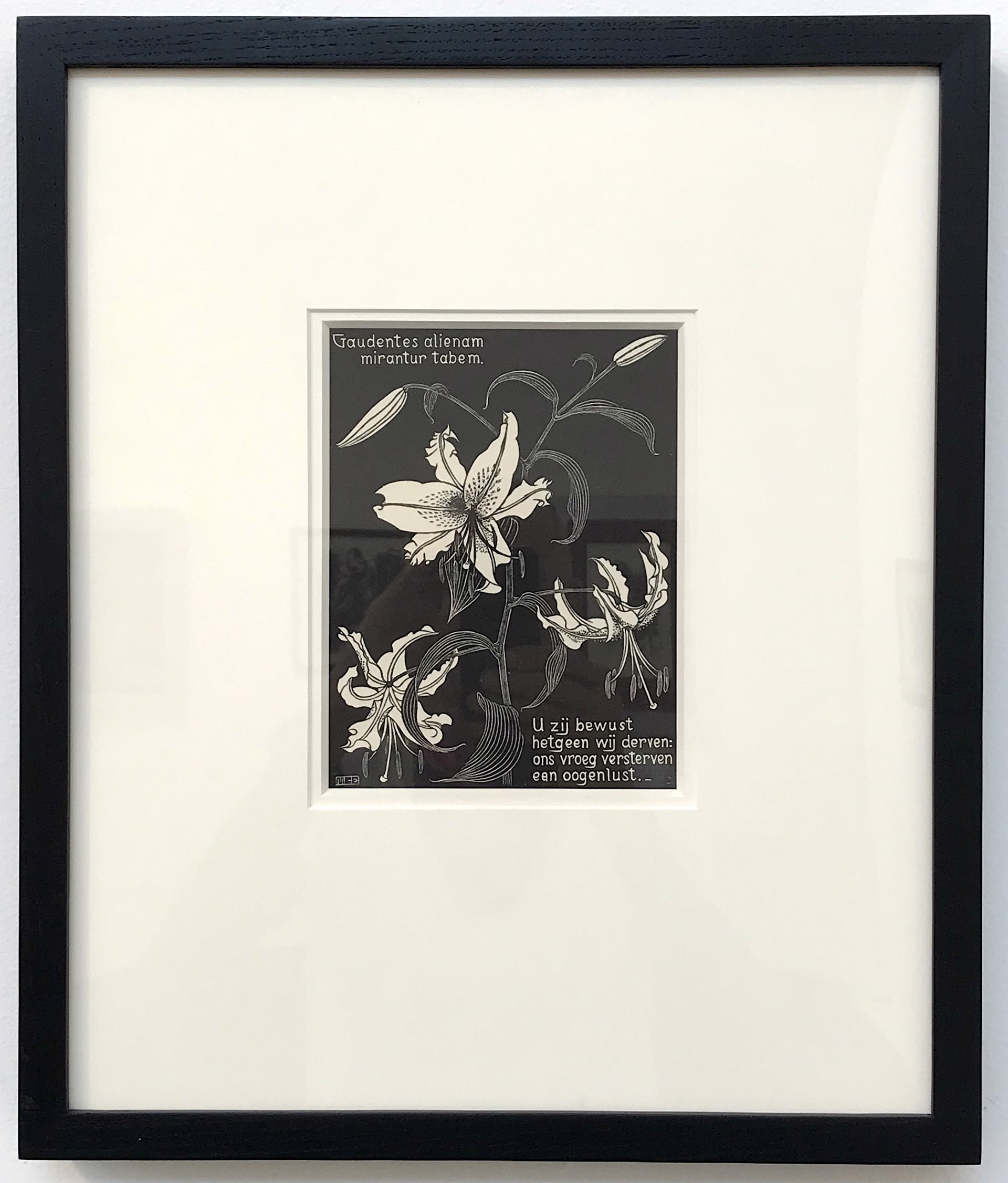 Flowers, Lilies by M.C. Escher