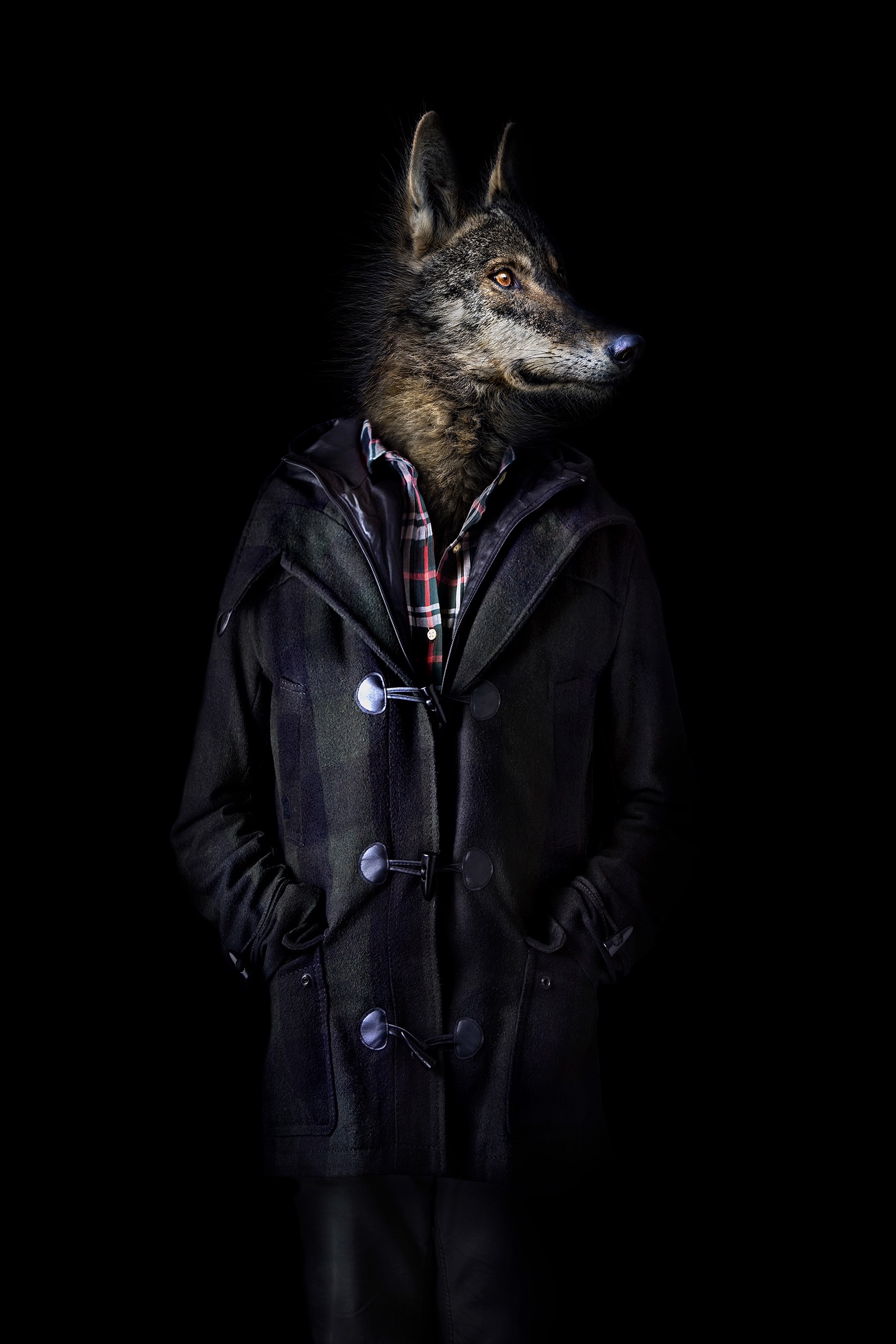 Retrato numero 28_wolf by Miguel Vallinas