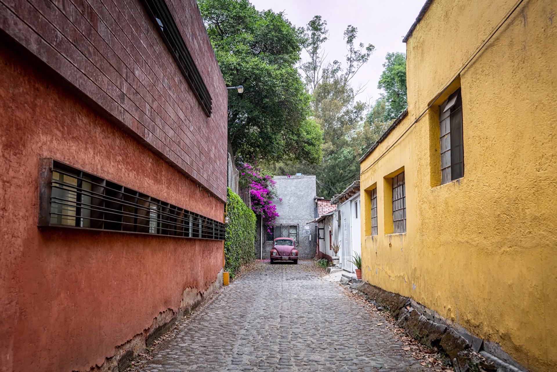 Alley - Mexico City, Mexico by Kevin Greenblat