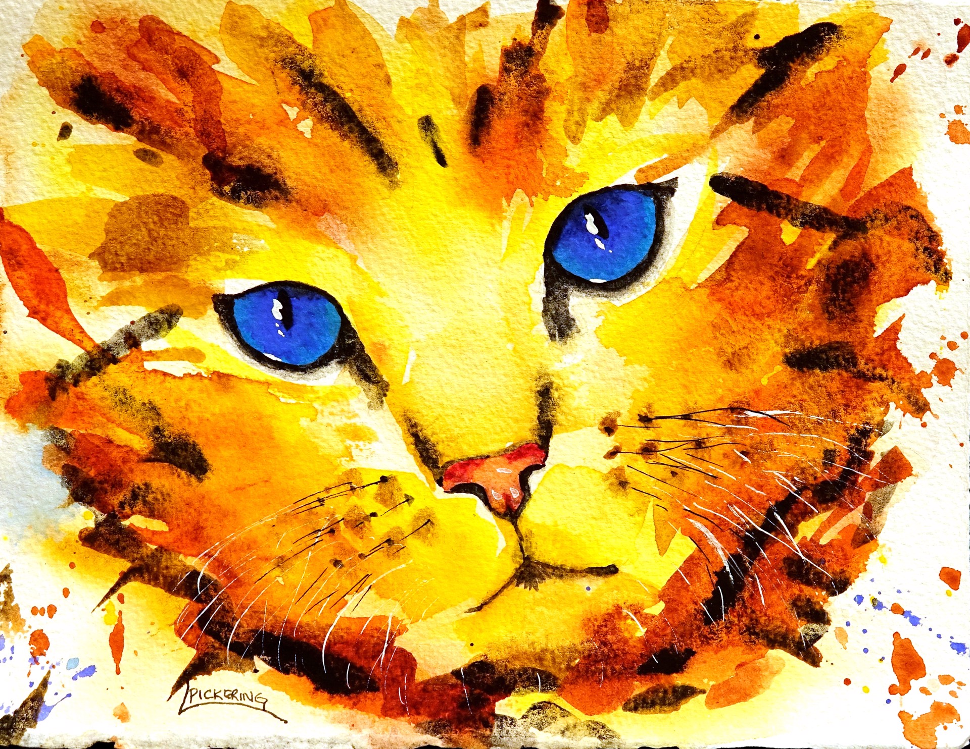 Sunshine Kitty by Laura Pickering
