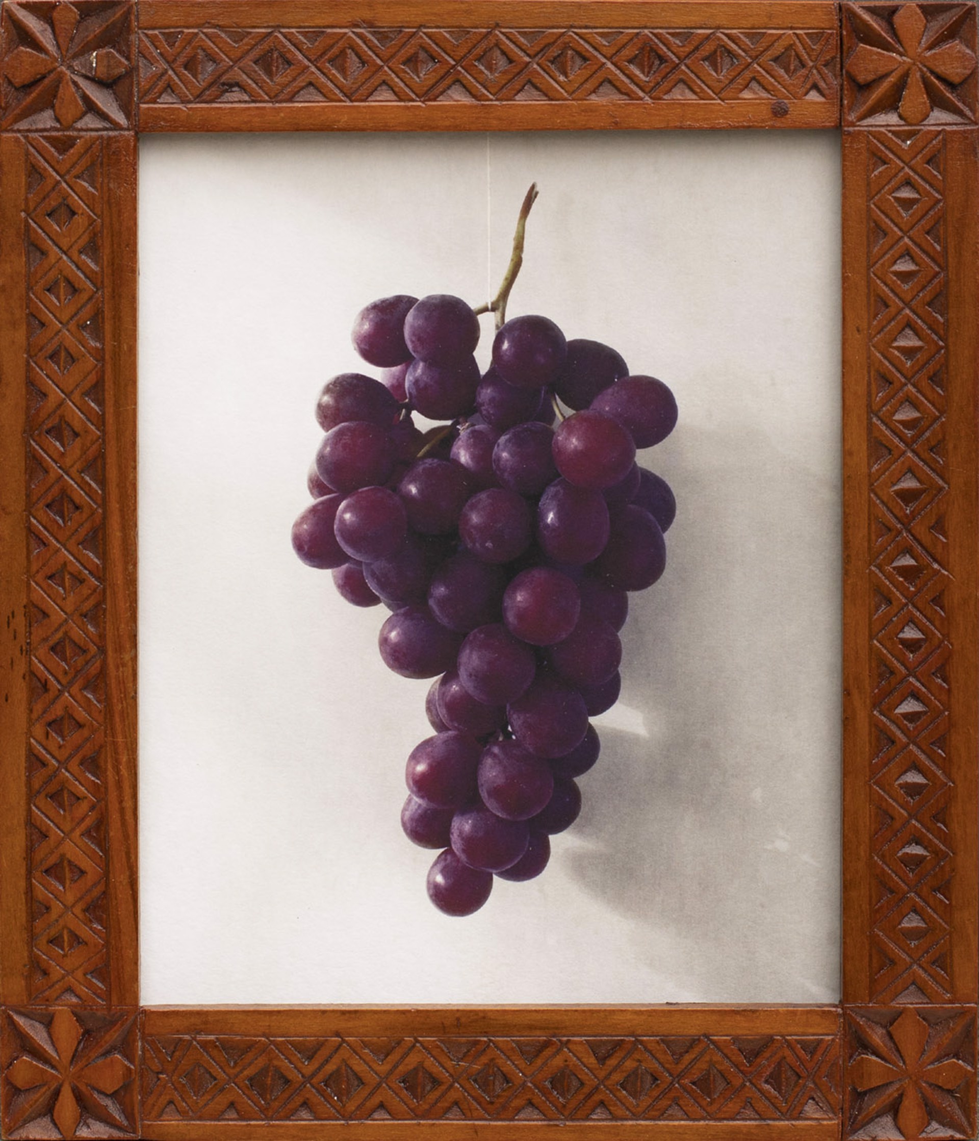 Still Life with Grapes by Jefferson Hayman