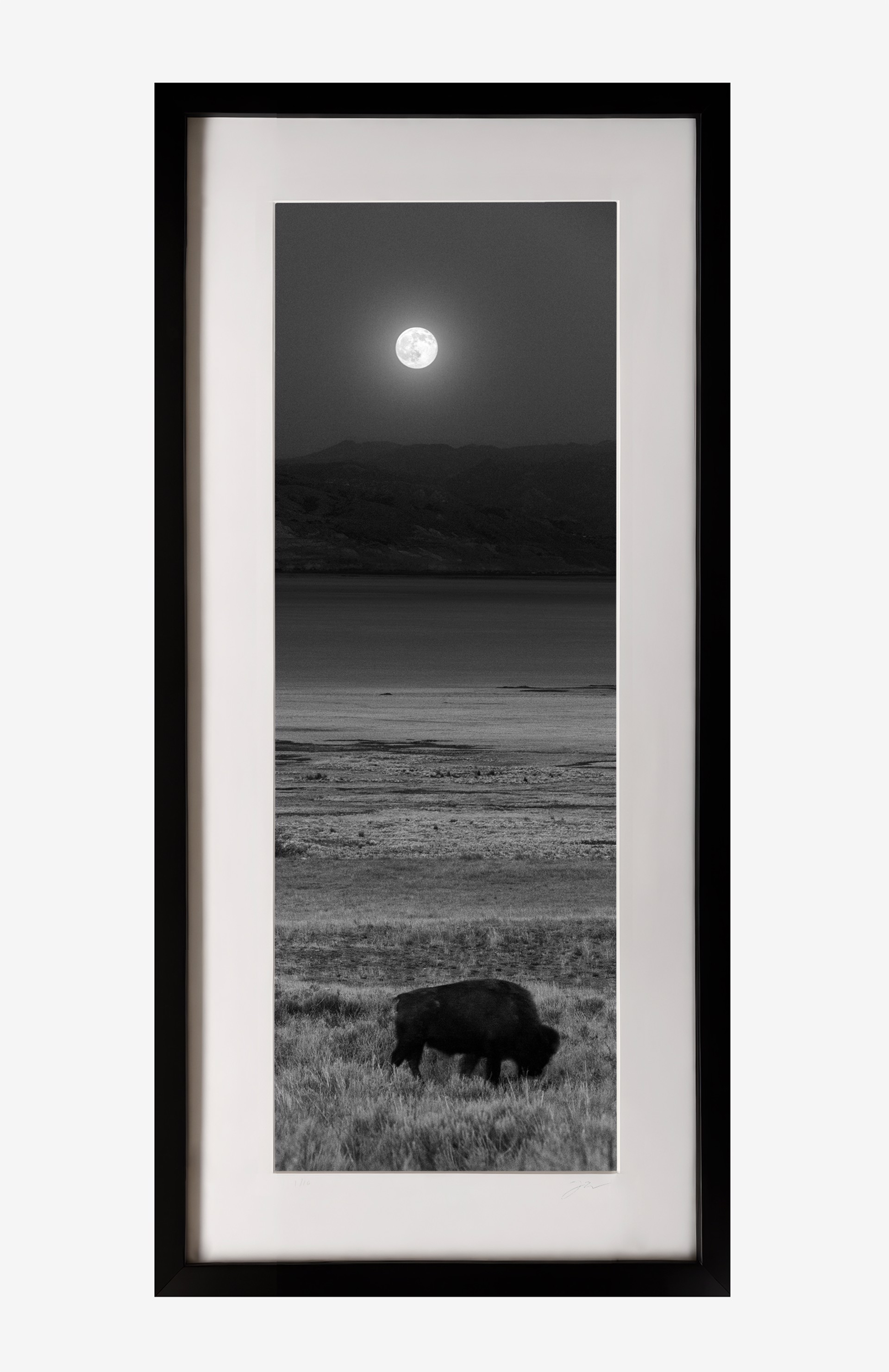 Buffalo Spirit - Framed by Tim Herschbach