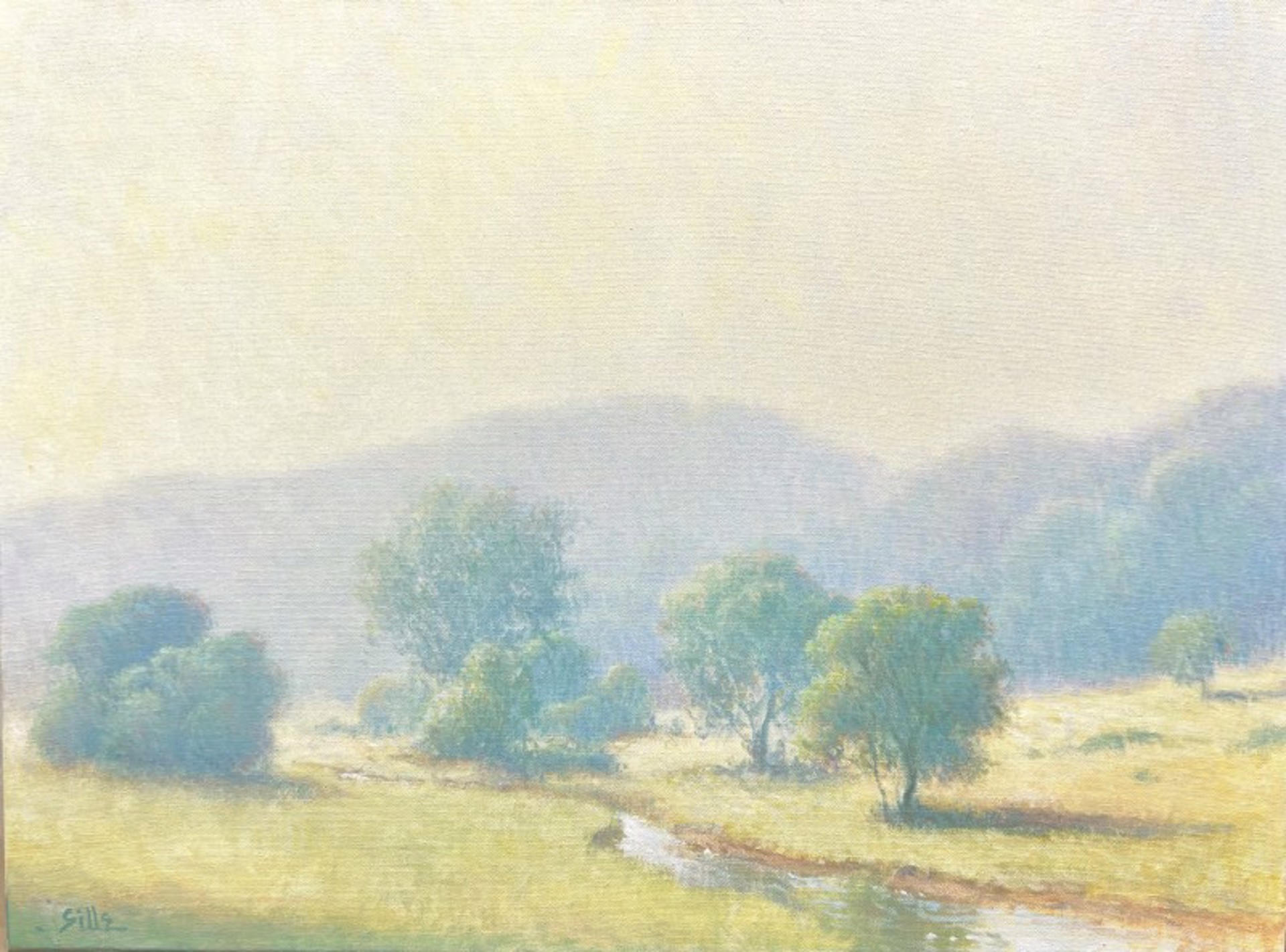 Radiant Light by John Brandon Sills