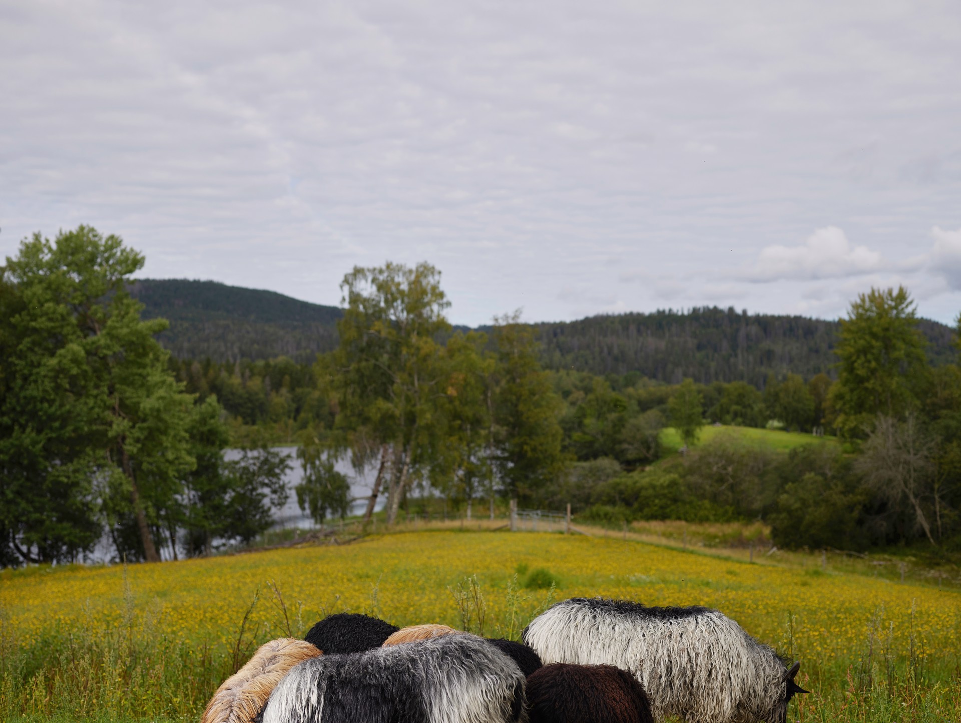 Bogstad Pastoral Study I, Norway by R. J. Kern