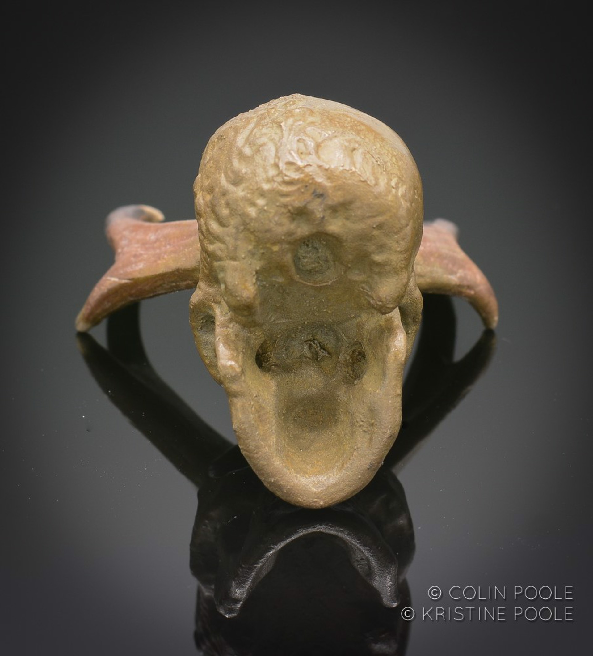 Human Pronghorn Talisman Skull 4 by Colin & Kristine Poole