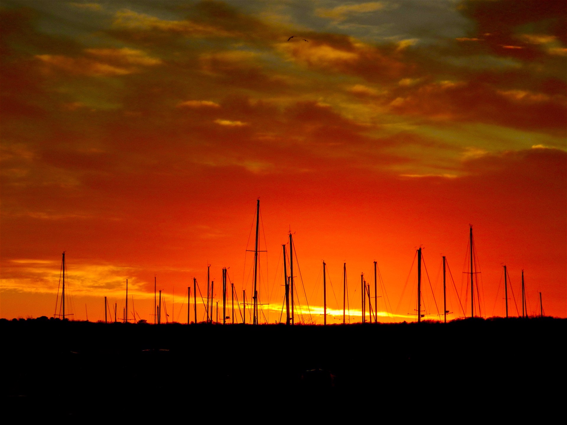 Masts by Kat O'Neill