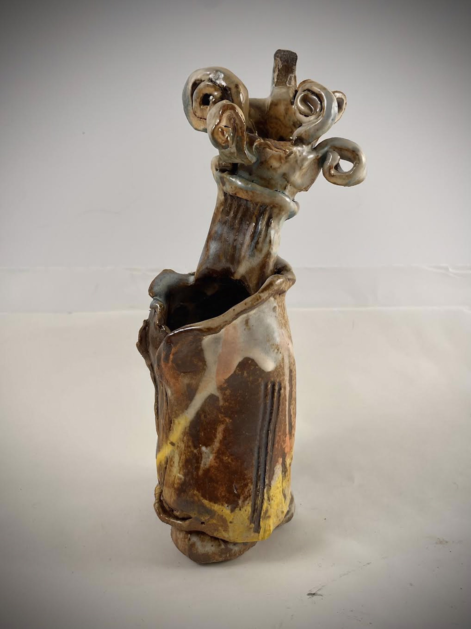 Misfit by Steve Wolf
