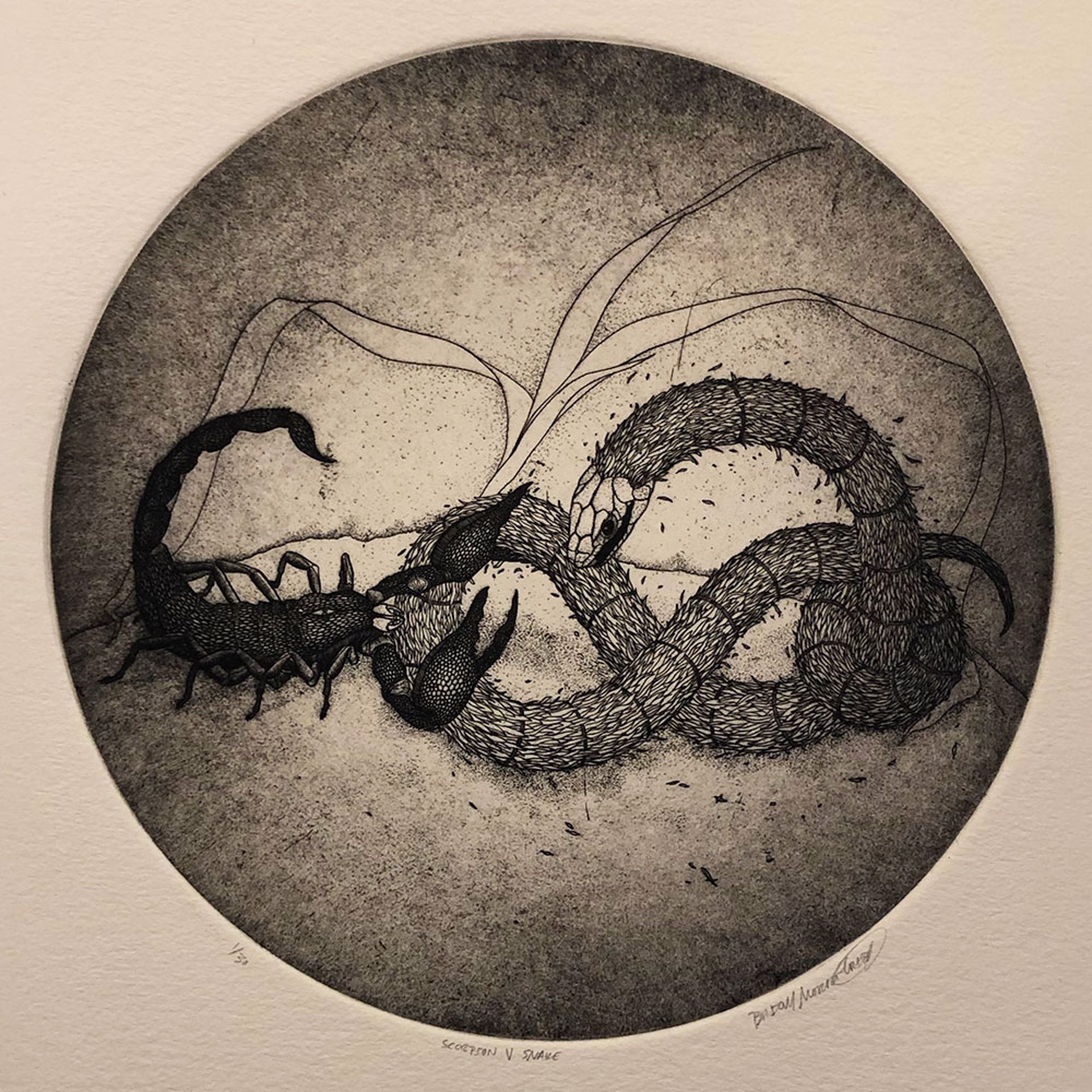 Scorpion V. Snake by Briony Morrow-Cribbs