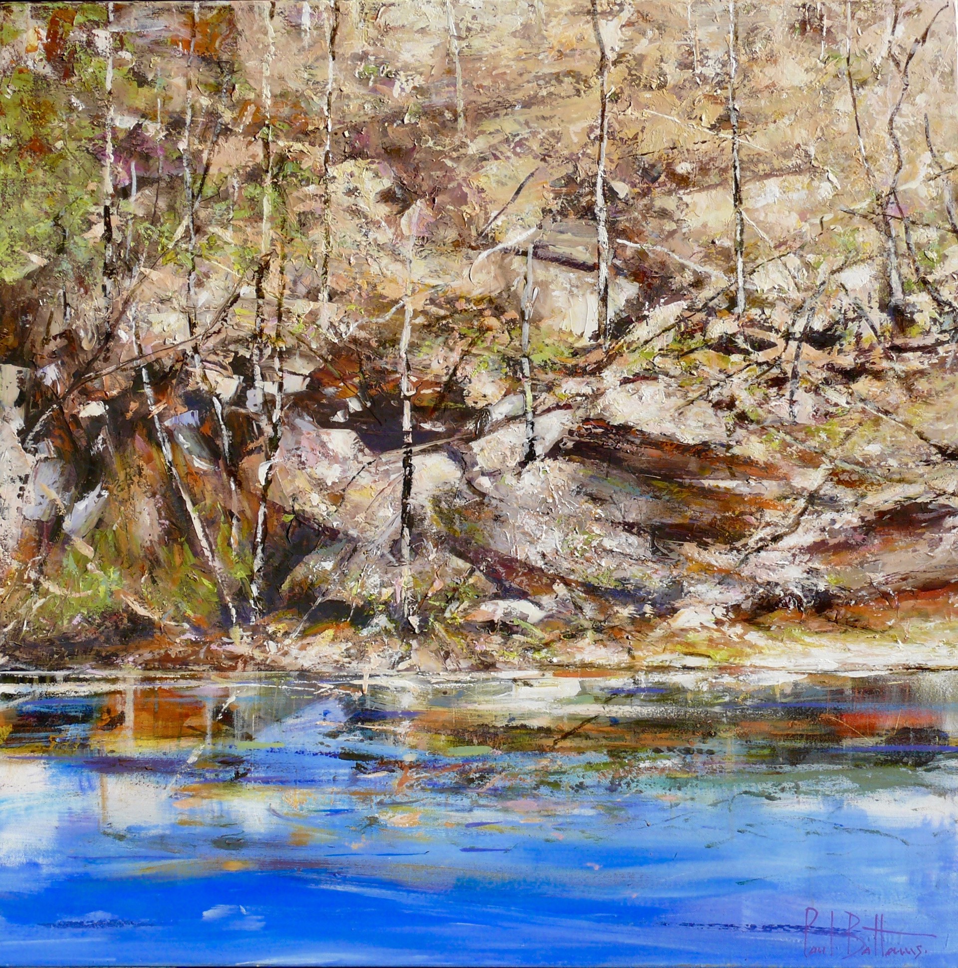 Magpie Creek by Paul Battams