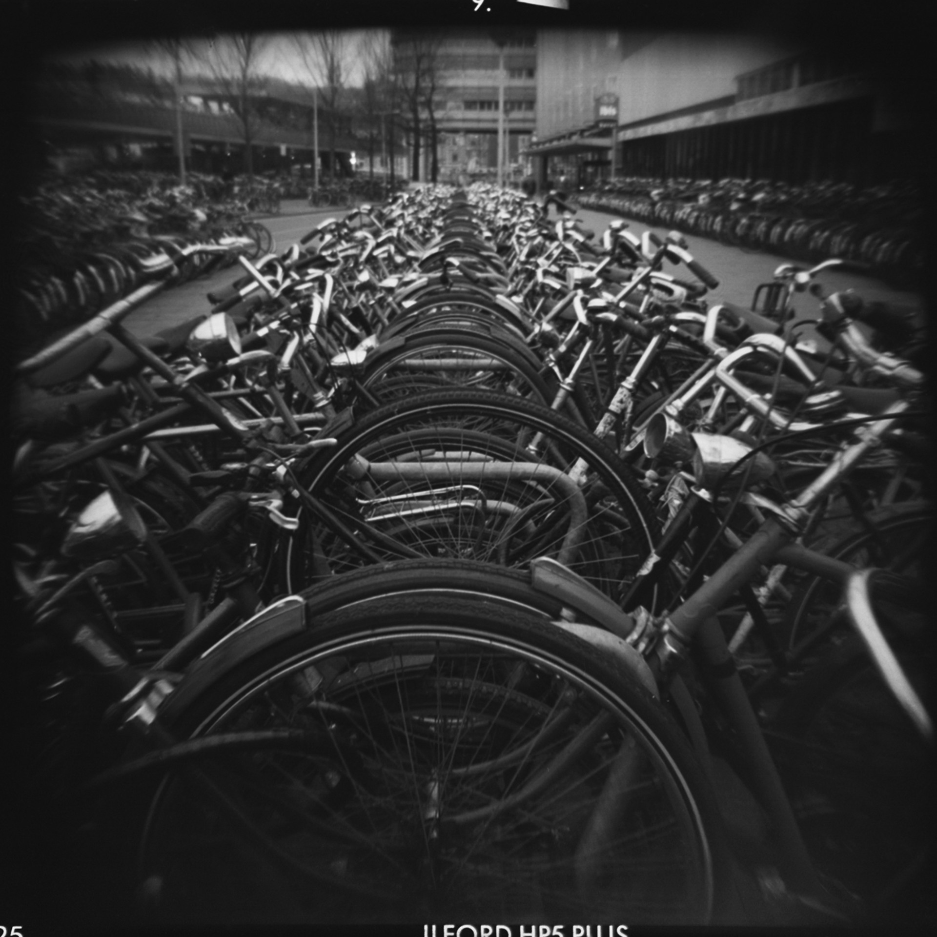 Bike Rack (A.P.) by Faustinus Deraet