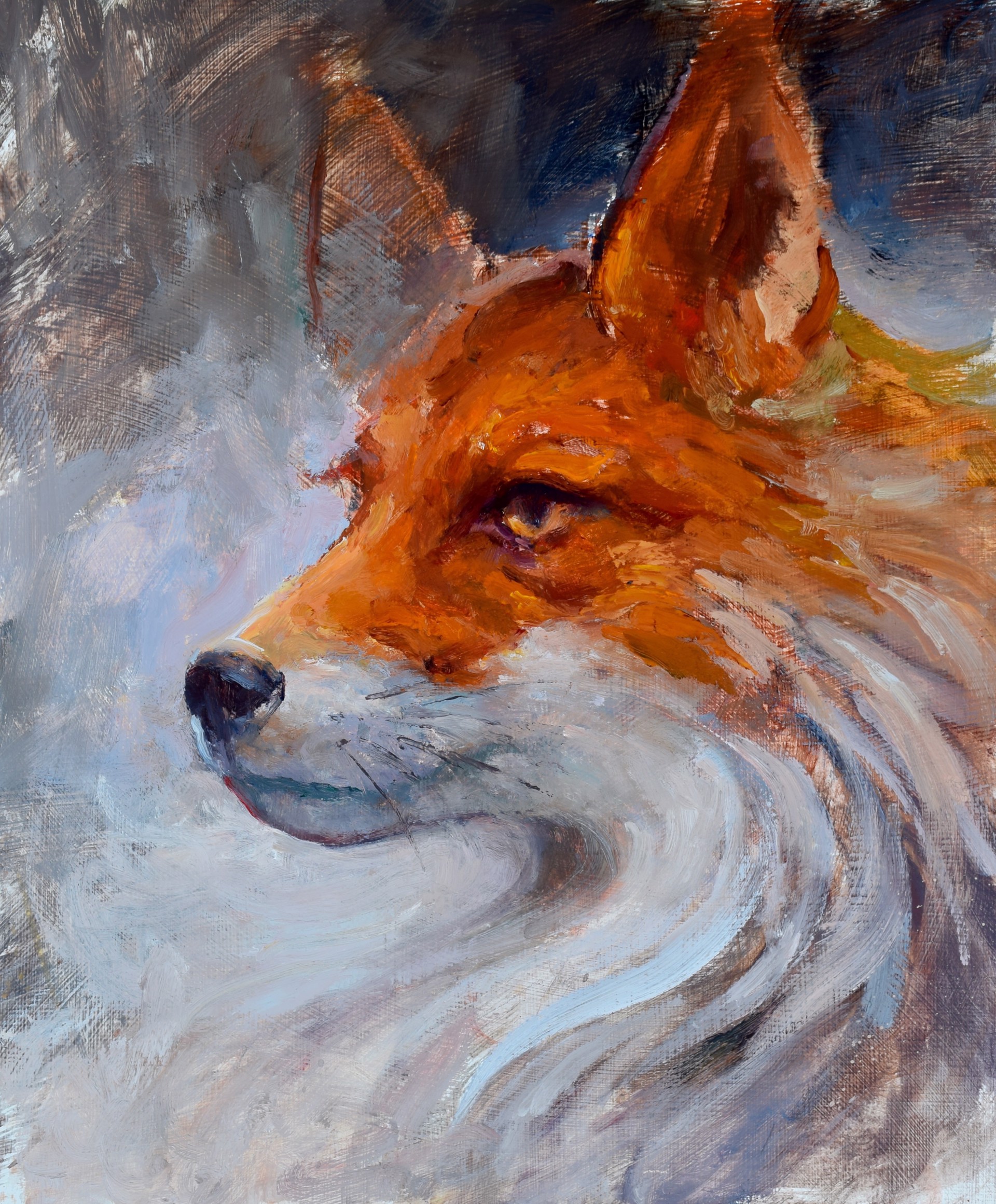 FOX by Kyle Paliotto
