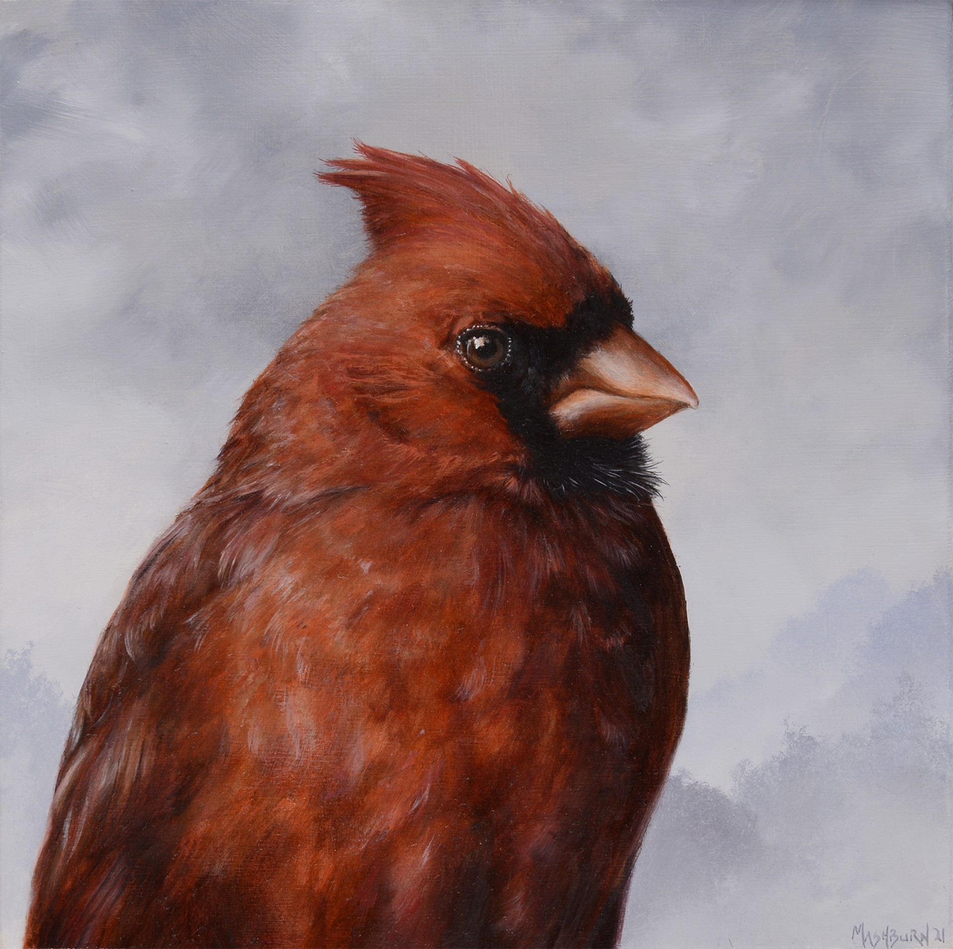 Northern Cardinal by Brian Mashburn