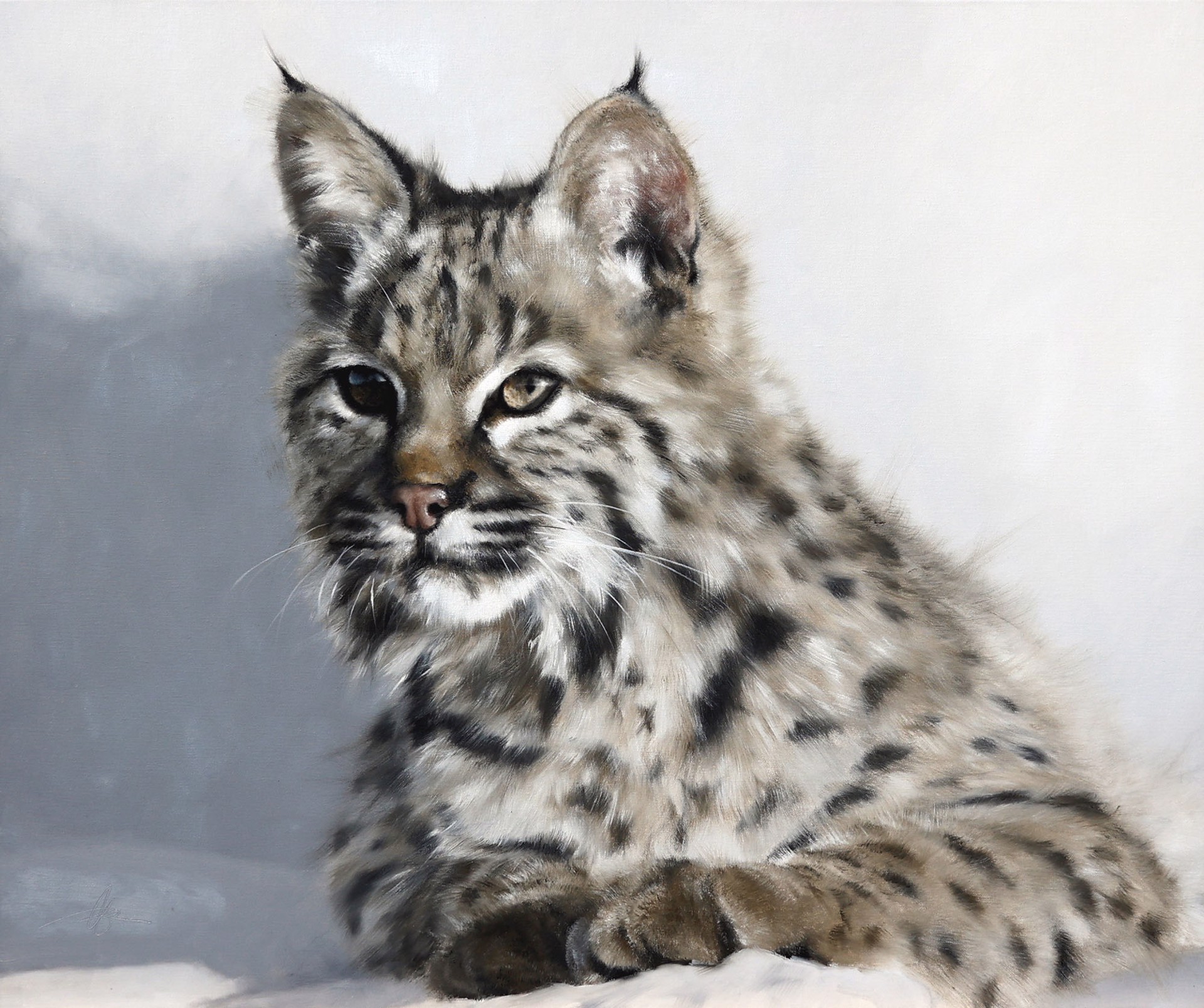 Original Oil Painting By Doyle Hostetler Featuring A Bobcat