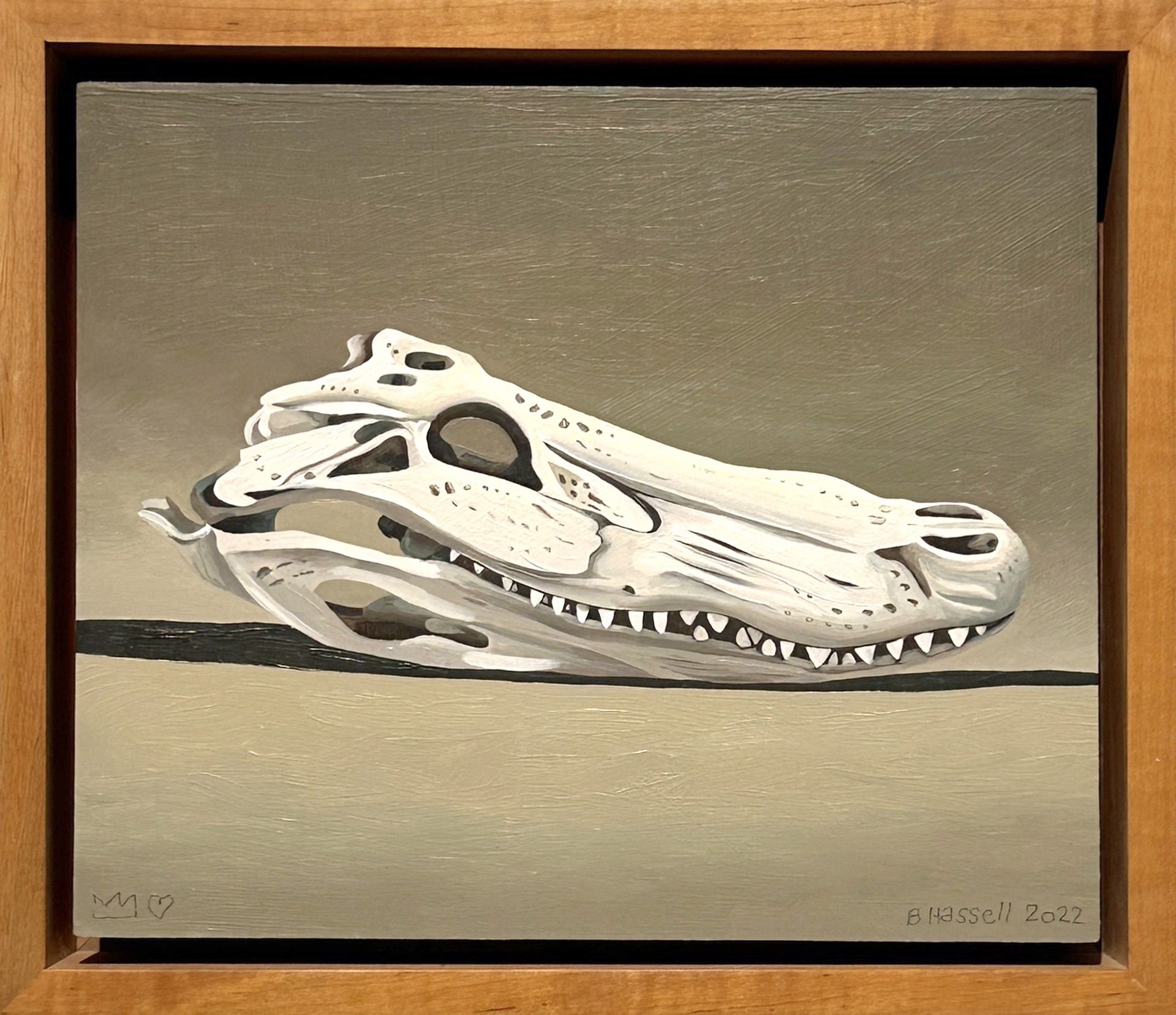 Alligator Skull by Billy Hassell
