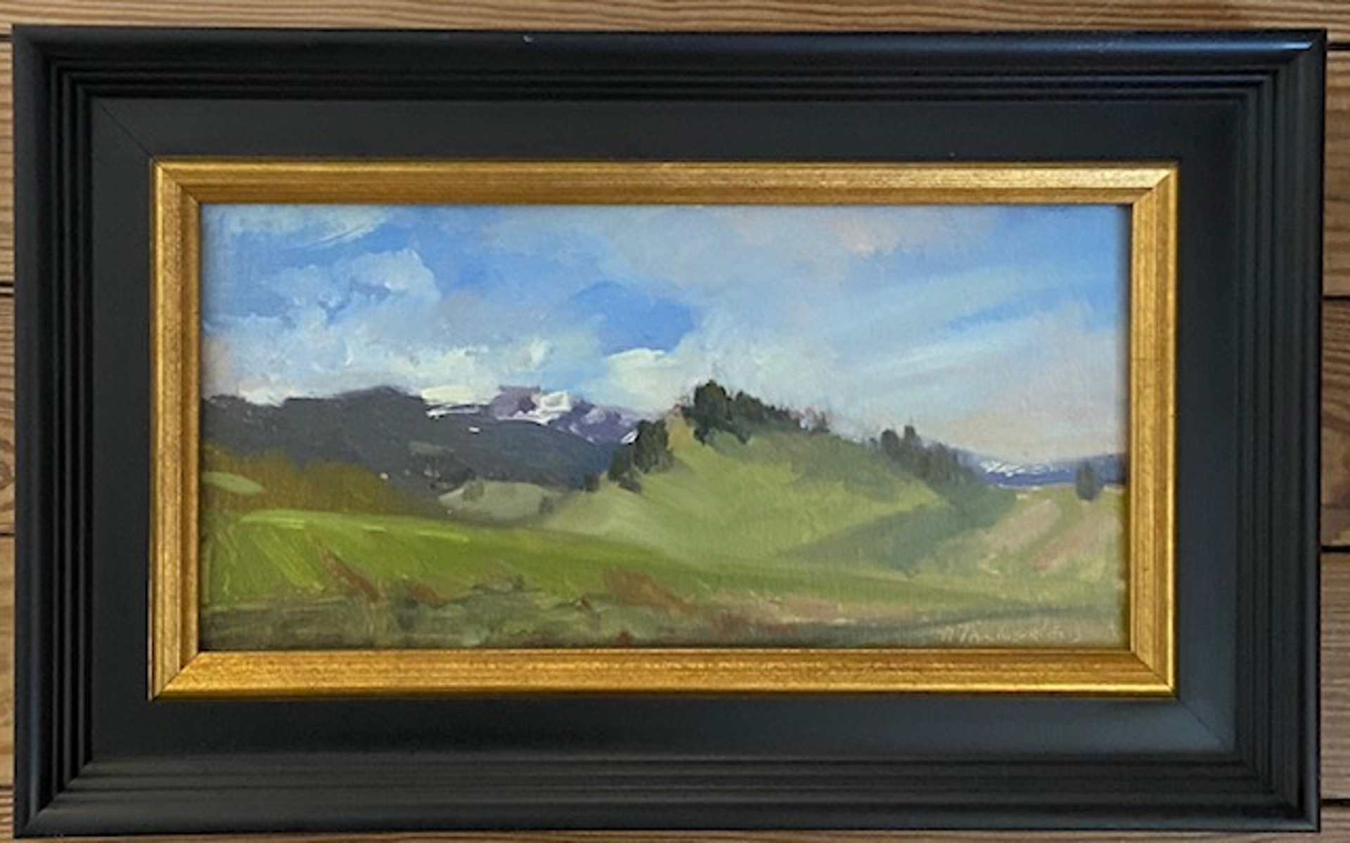 Montana Cloud Study by Nancy Tankersley