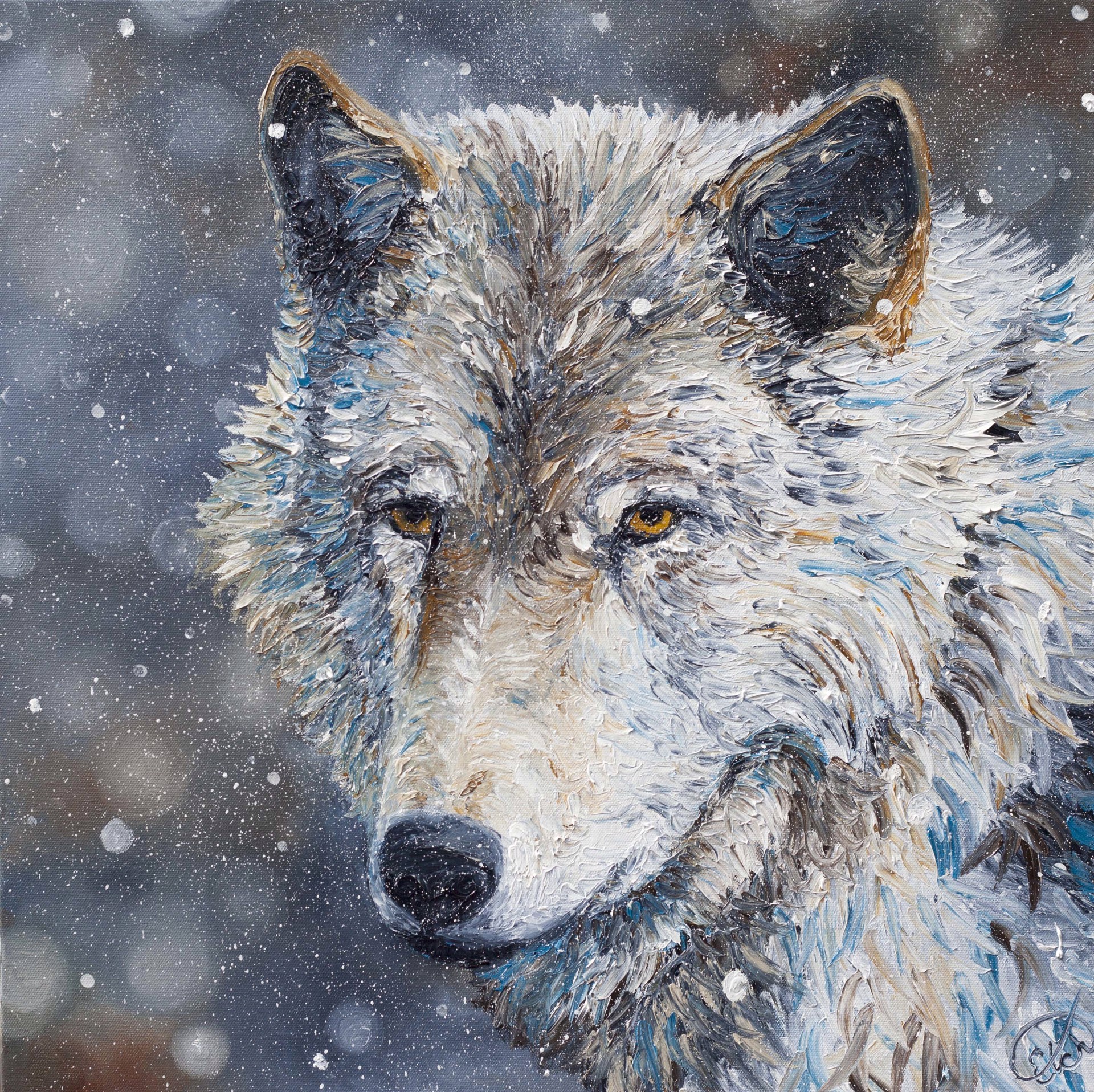 Grey Wolf in Winter by Elizabeth Mordensky