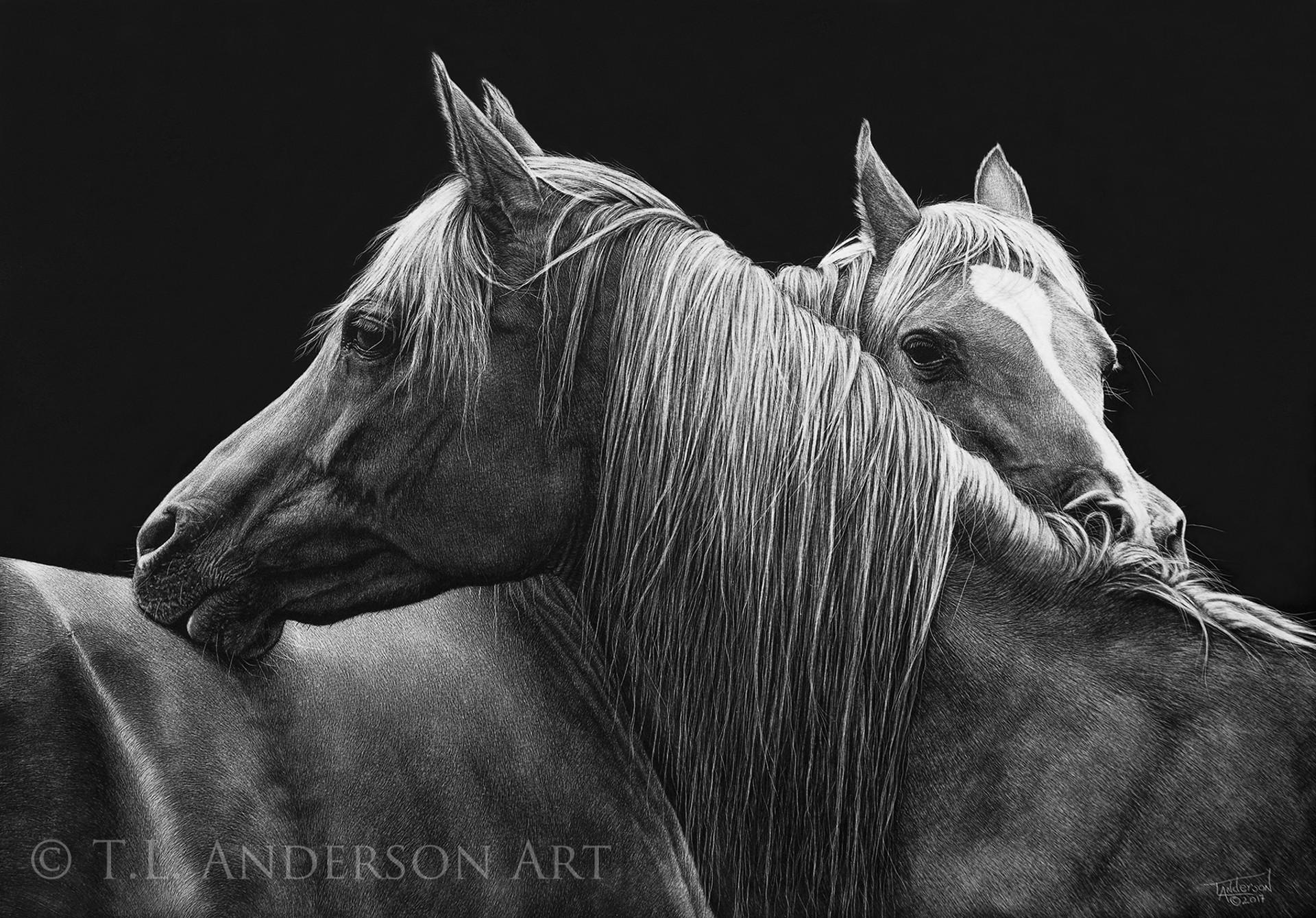 Kindred Spirits by Tracy Anderson
