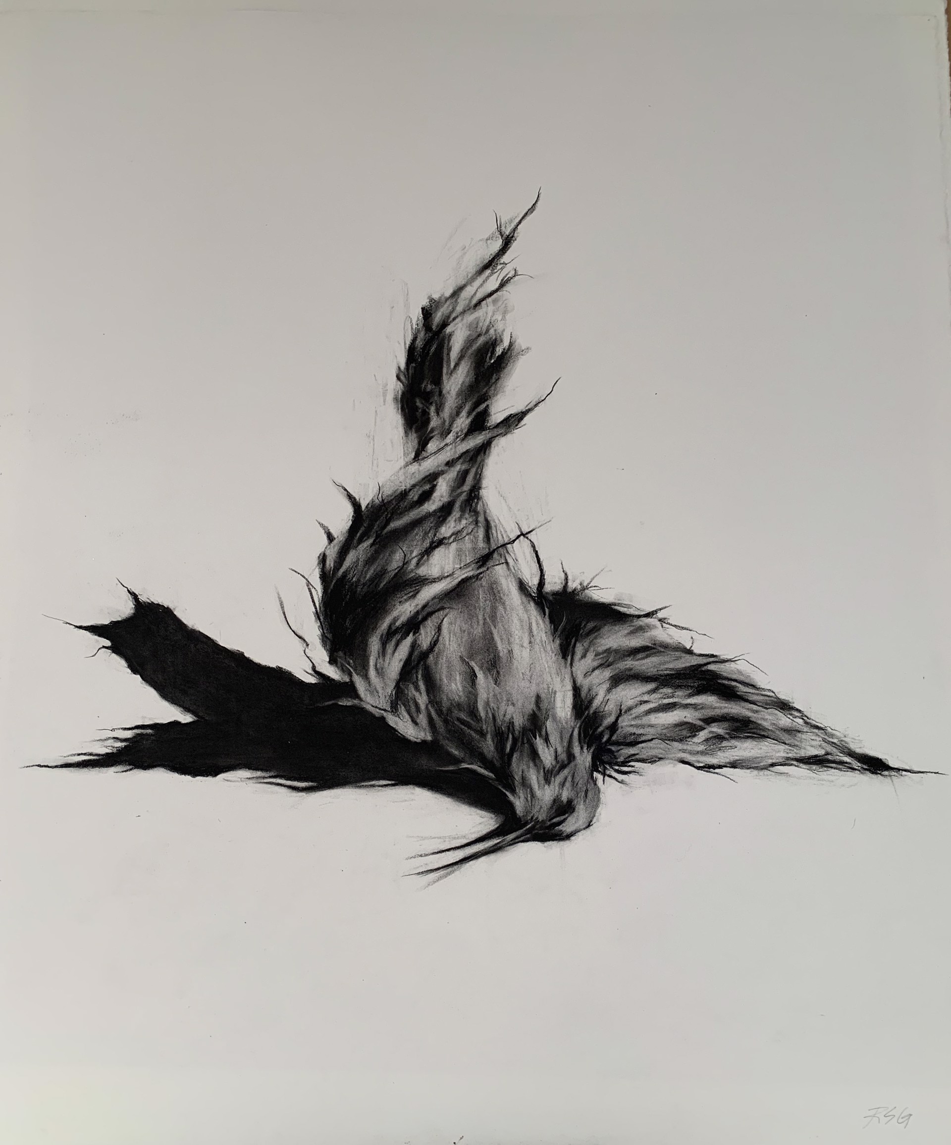 Bird (Cycle of Life) by Rachel Gardner