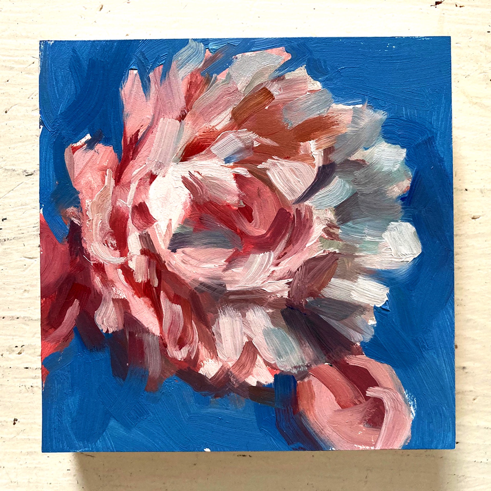 Peony Project #5 by Amy R. Peterson*