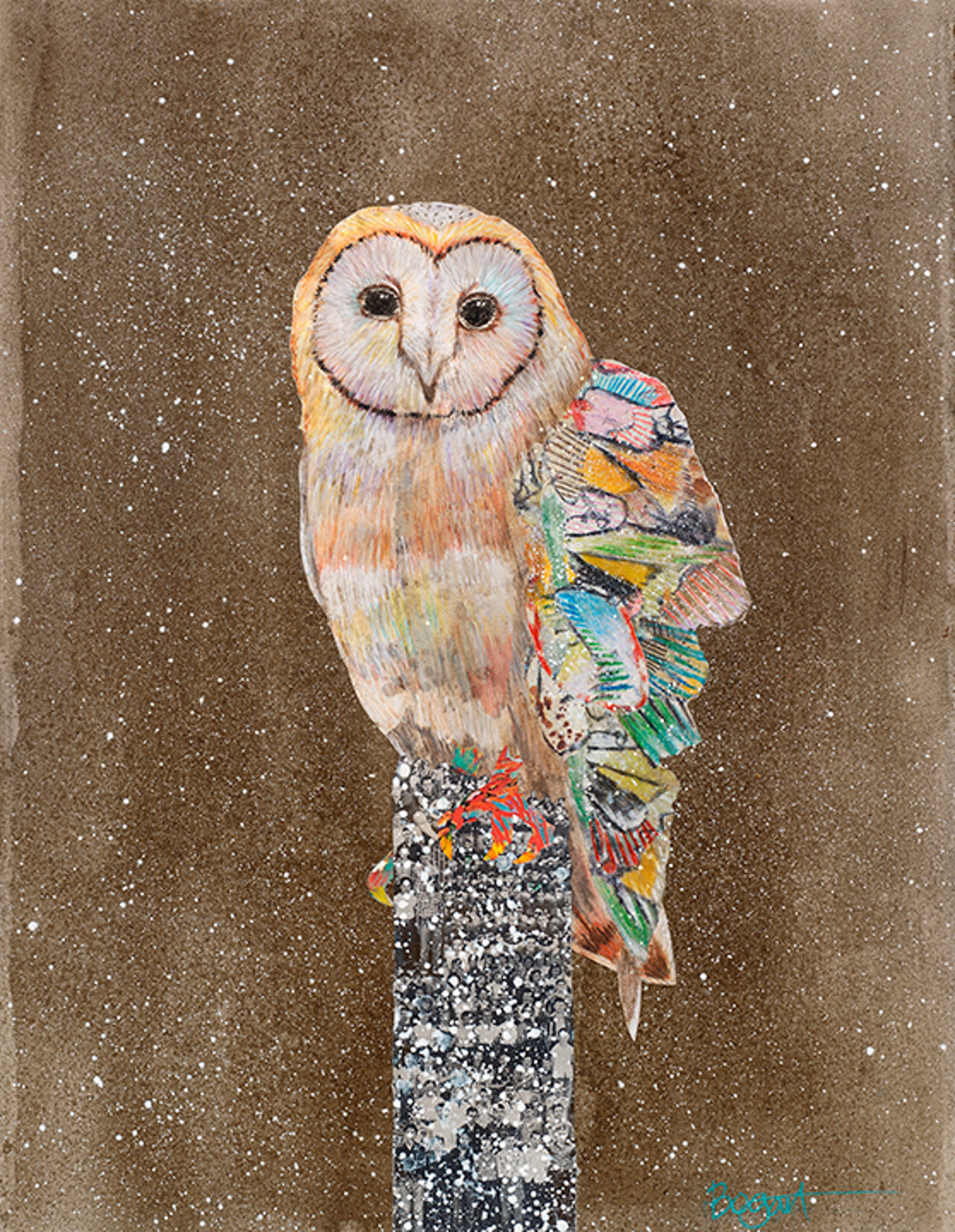 Barn Owl on a Snowy Night 4 by Brenda Bogart - Prints