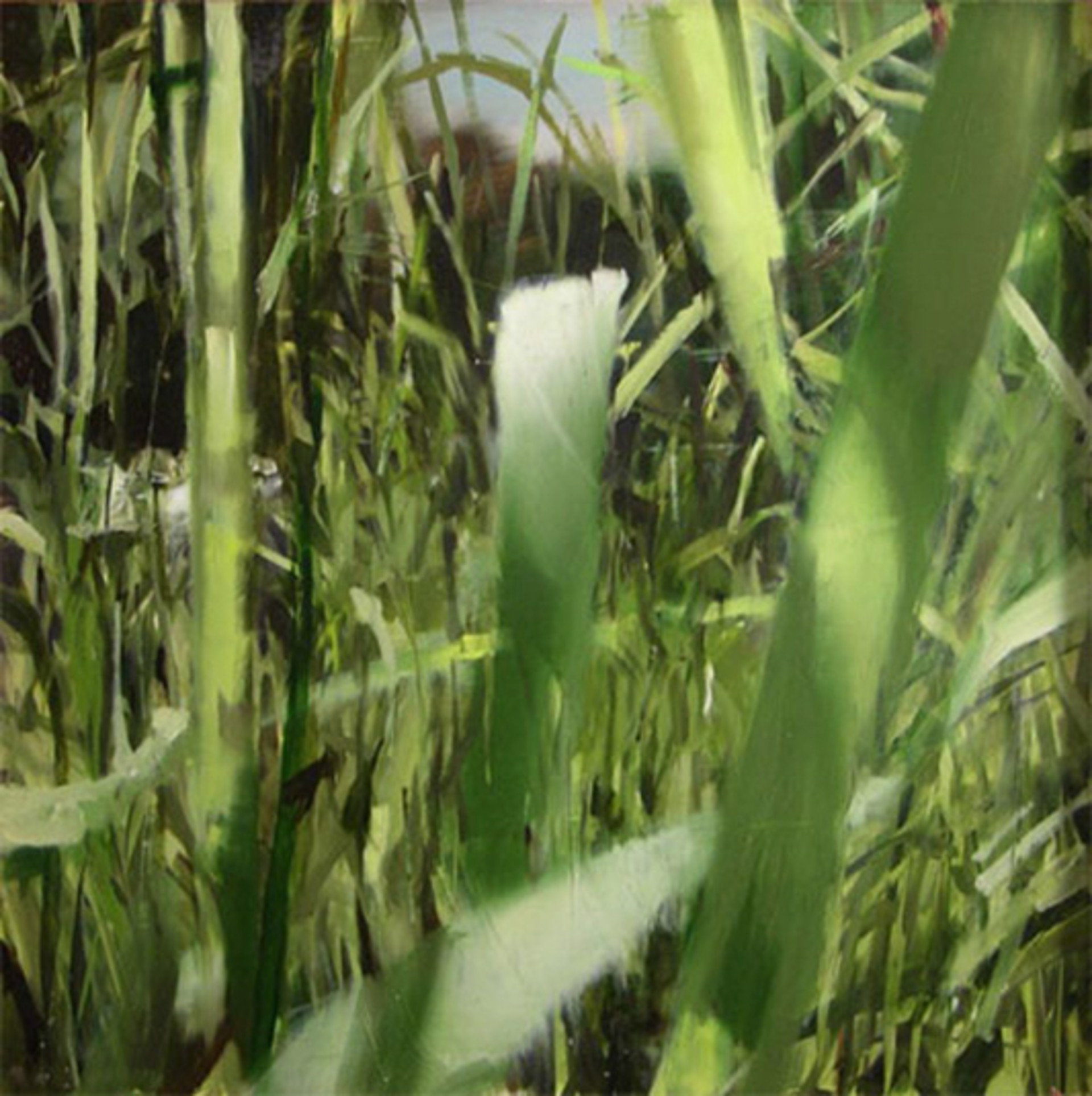 Landscape with Grass by Alex Kanevsky