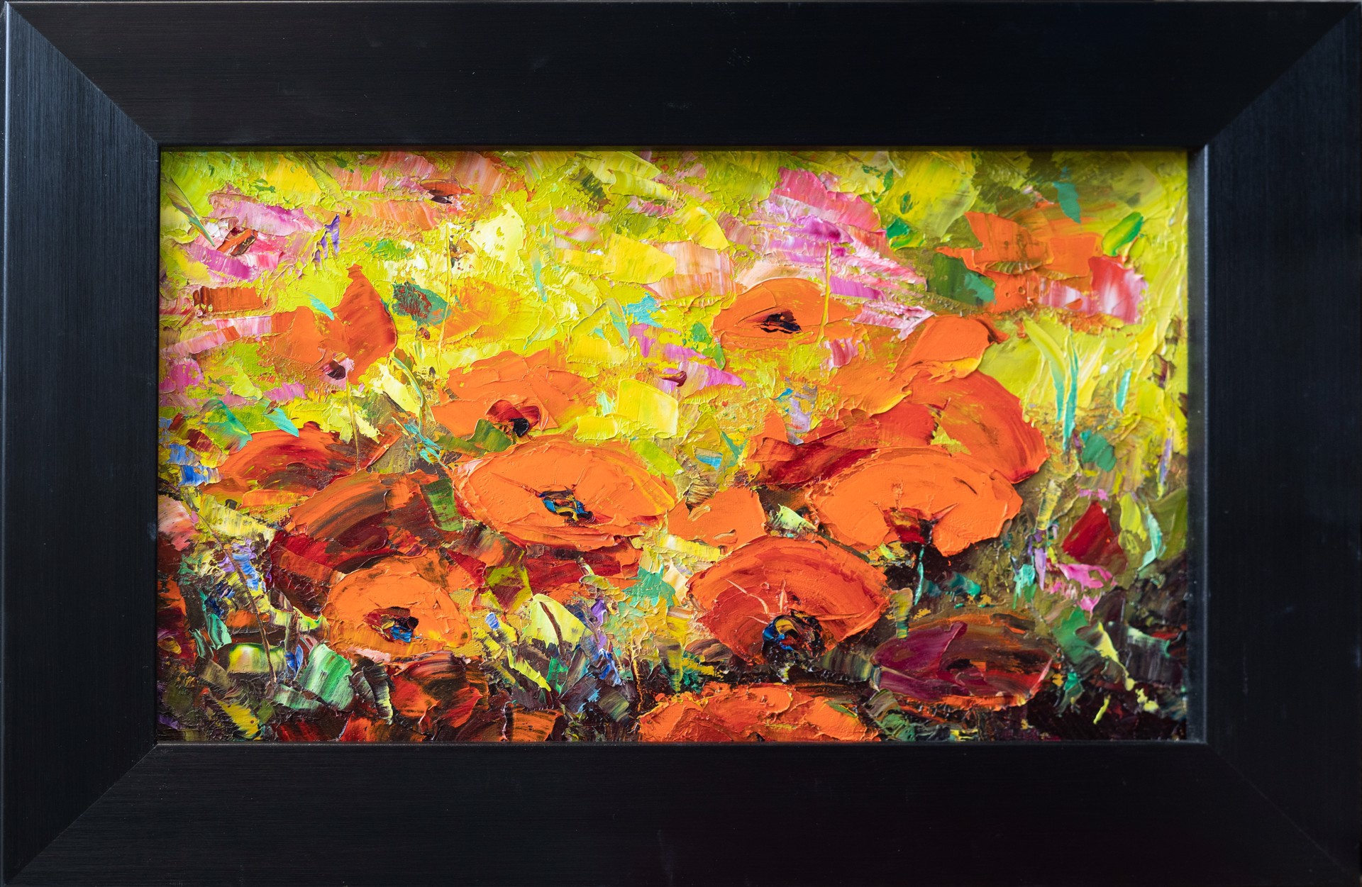 Poppies in Full Bloom by Dean Bradshaw
