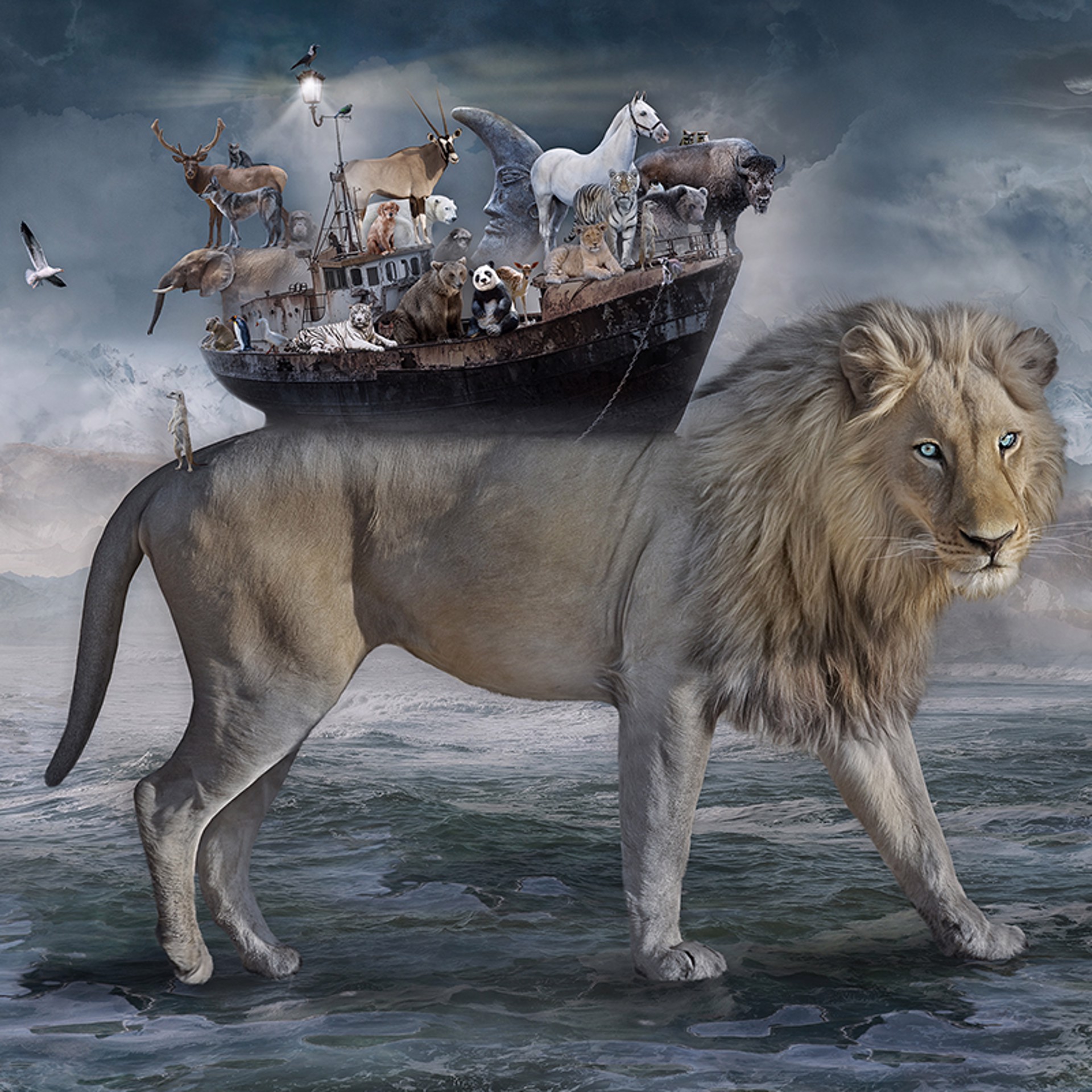Noah - the Lions Heart by Marcin Owczarek
