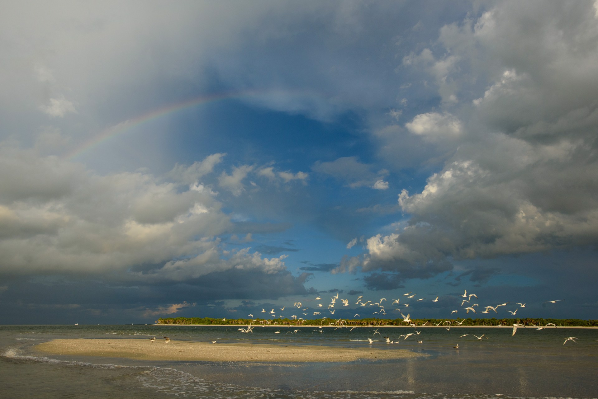 Rainbow Over Cayo Costa by Carlton Ward Photography