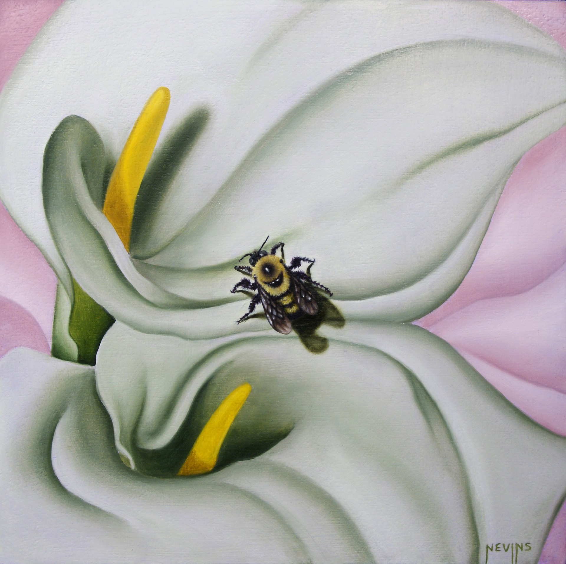 O'Keeffe's Nectar by Patrick Nevins
