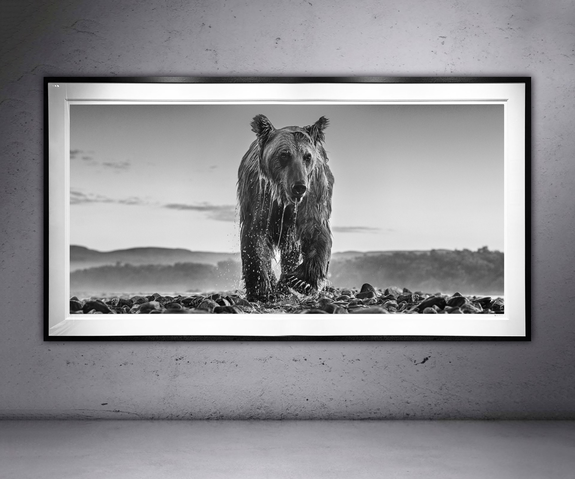 Bear Island by David Yarrow