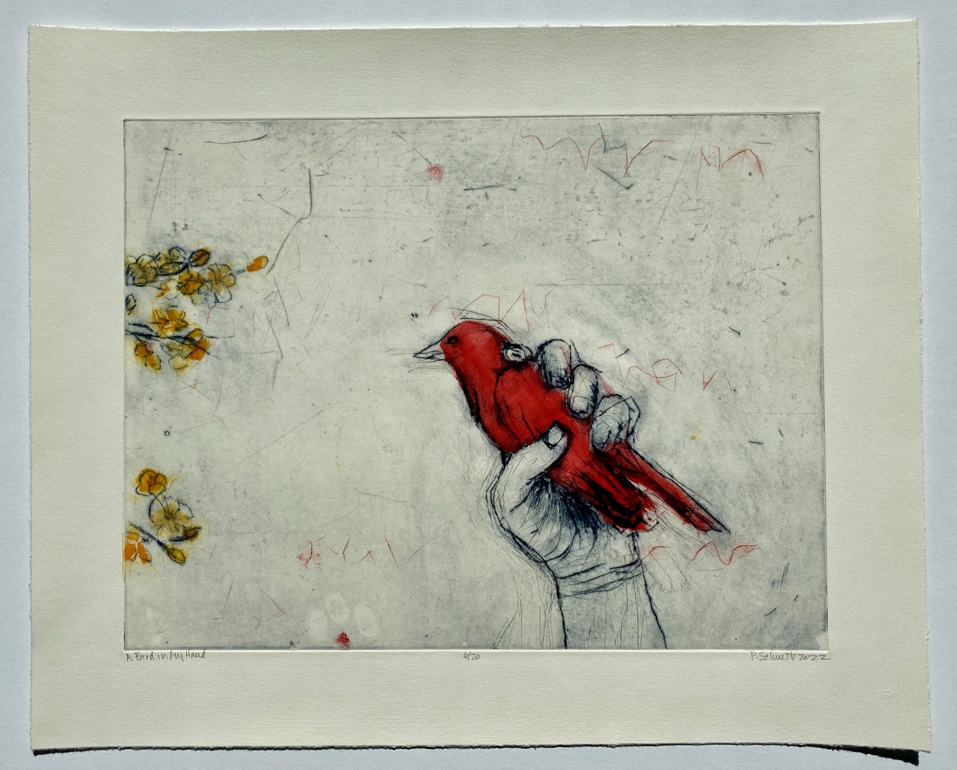 A Bird in My Hand by Paula Schuette Kraemer