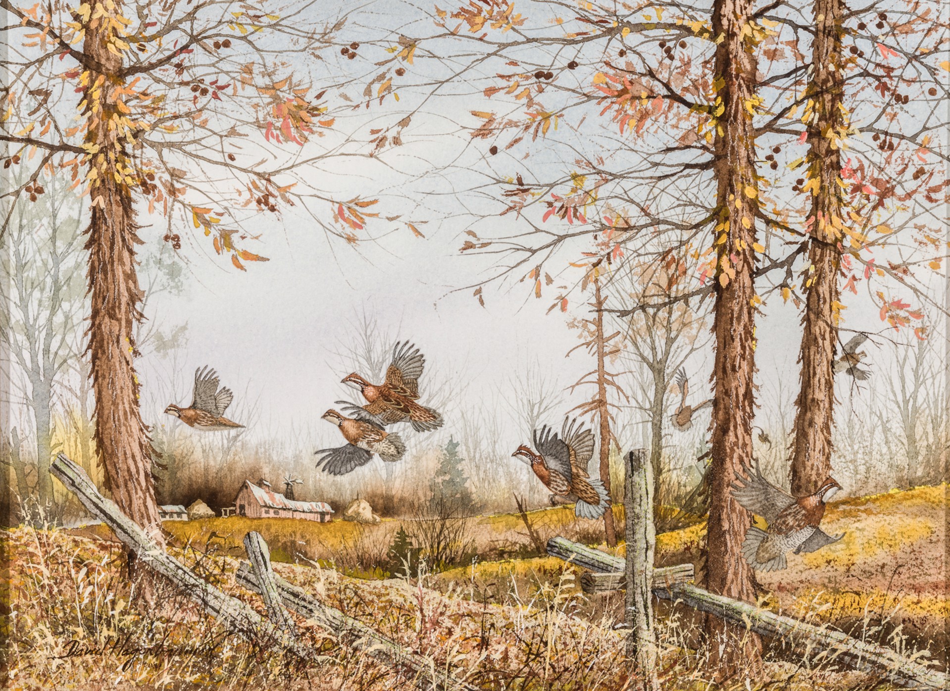 ‘THROUGH THE PINES,’ ‘GAMEBIRDS I,’ AND GAMEBIRDS II,’ (set of three) by David Hagerbaumer