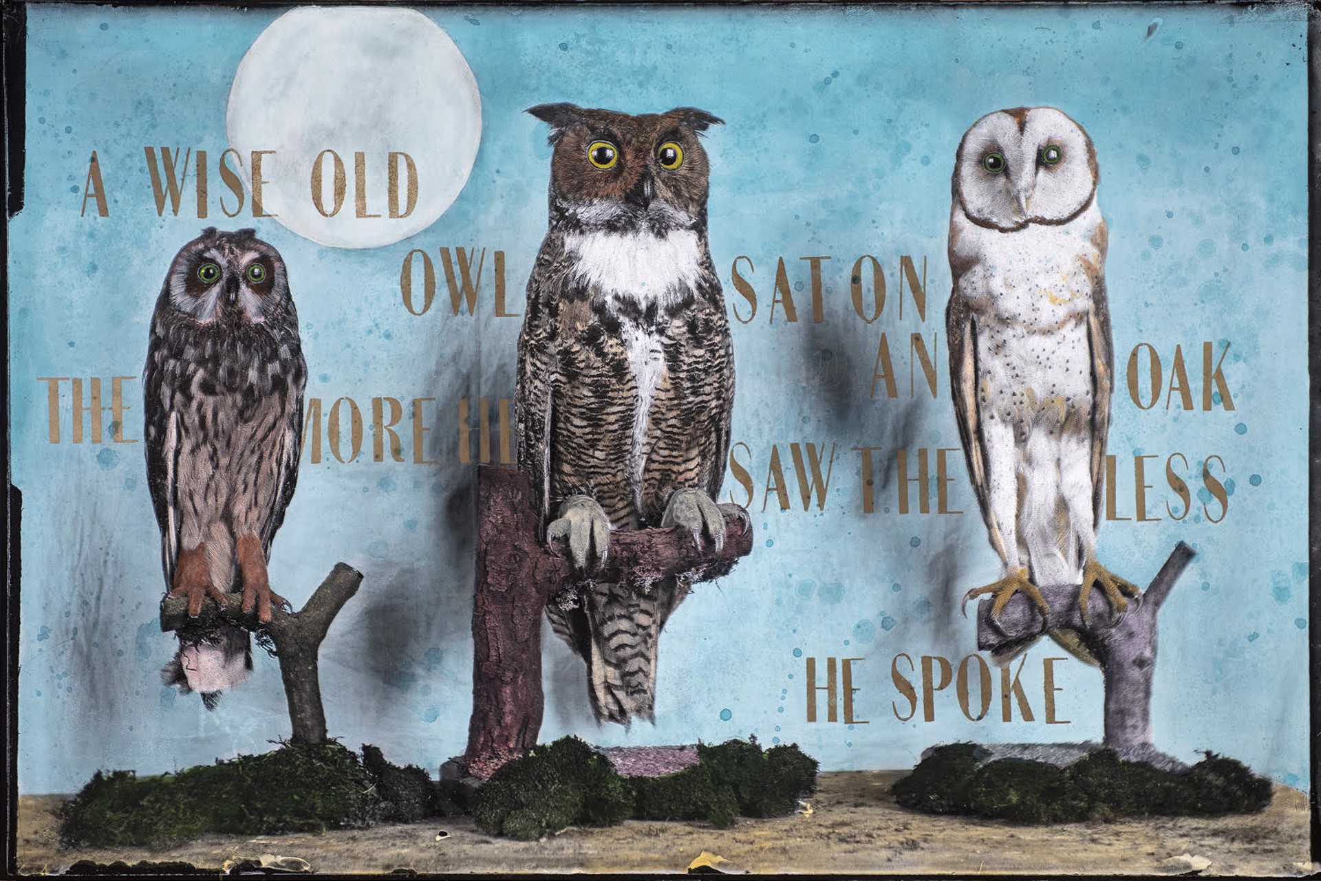 The Wise Old Owls by Alexandra Eldridge
