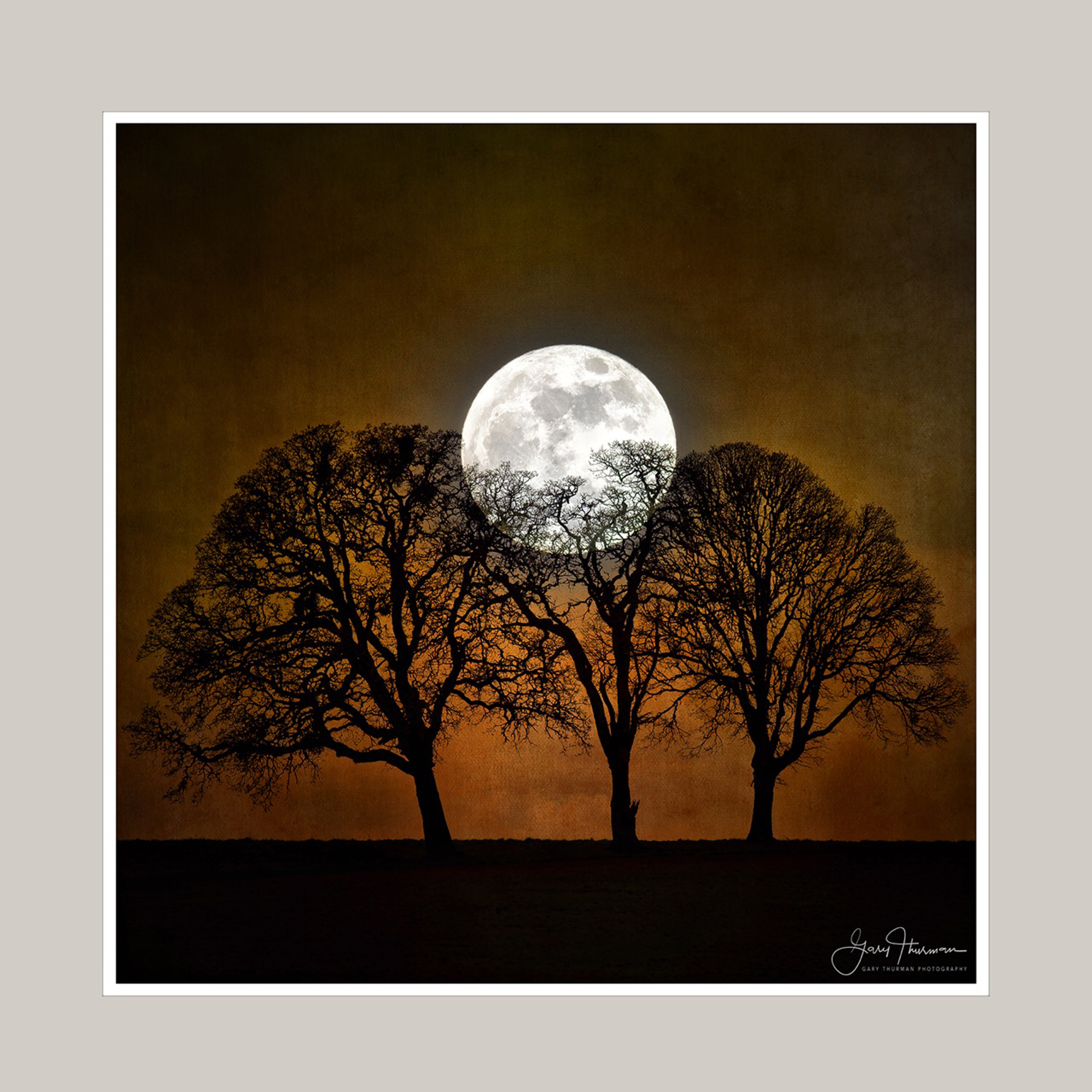 Bad Moon Rising (small) by Gary Thurman (McMinnville, OR)