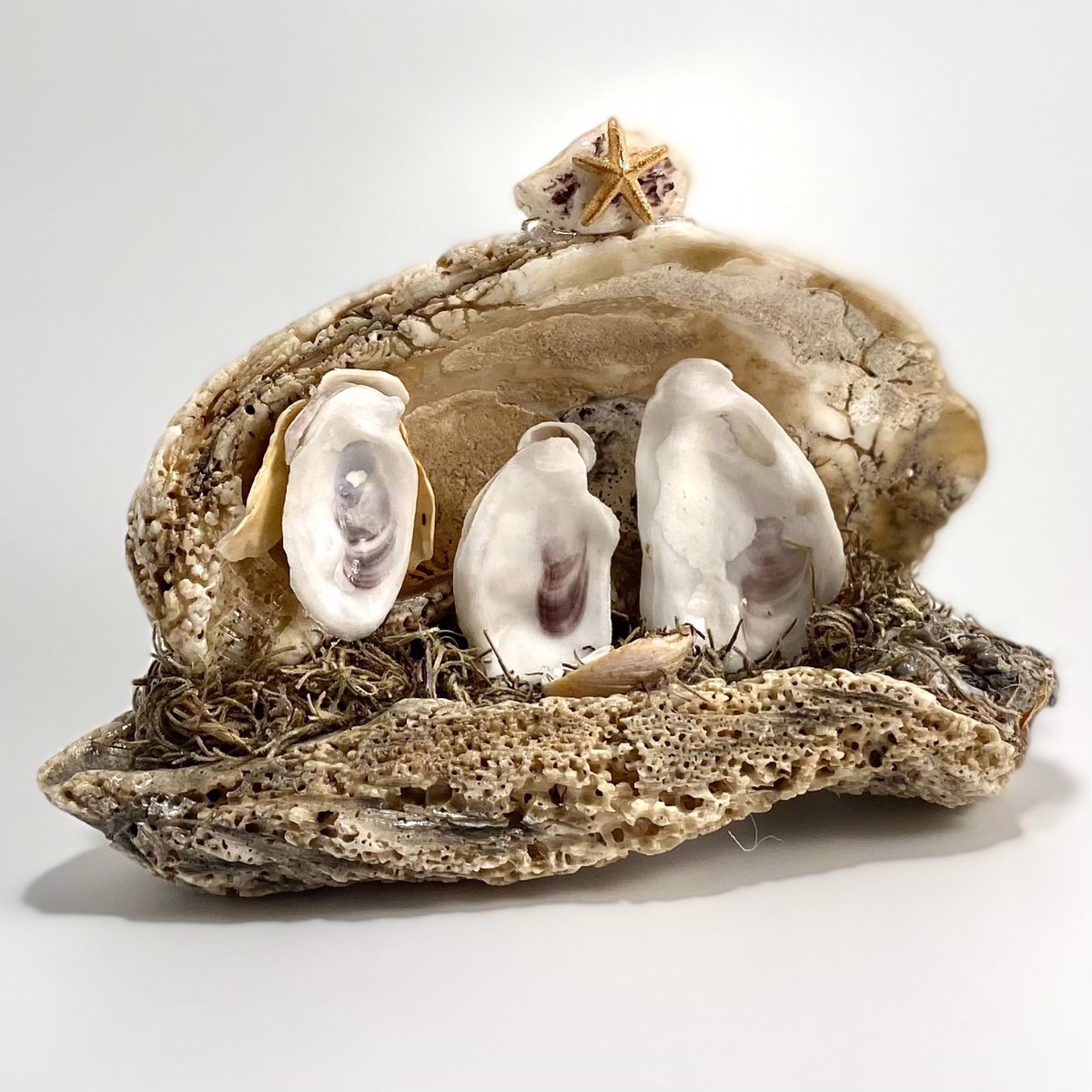 CN22-26  Creche From The Sea~Oyster Shell by Chris Nietert