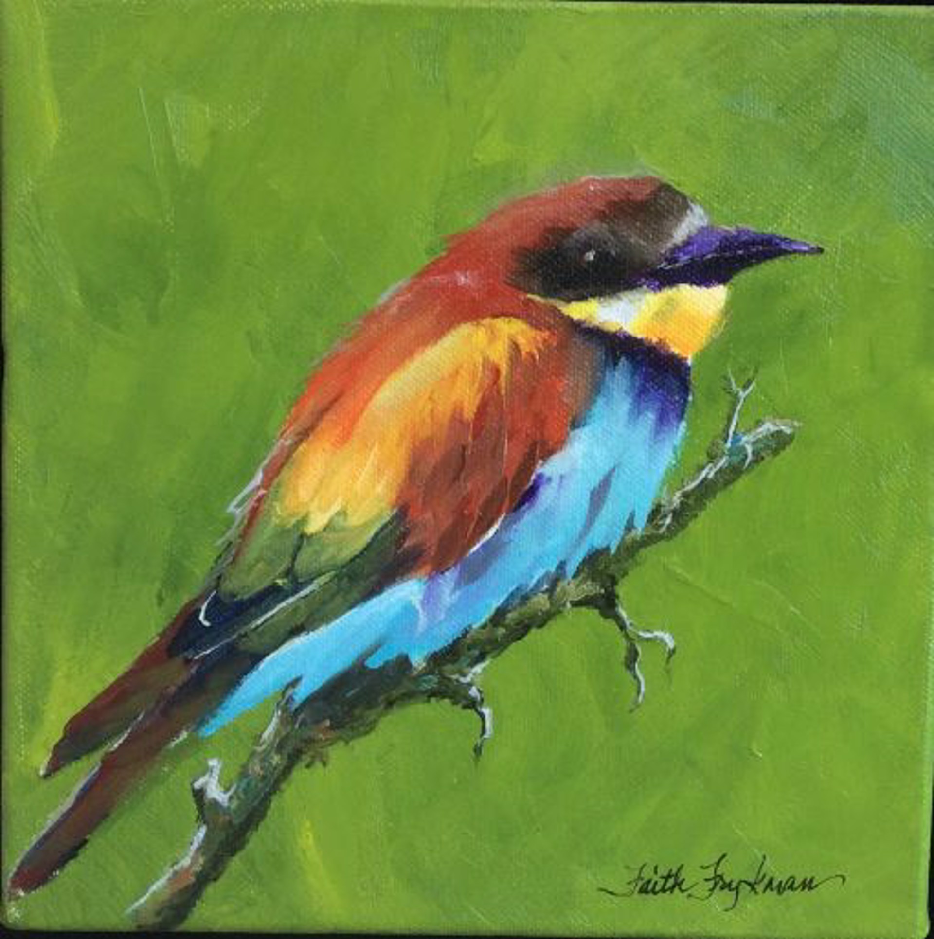 European Bee-eater, by Faith Frykman