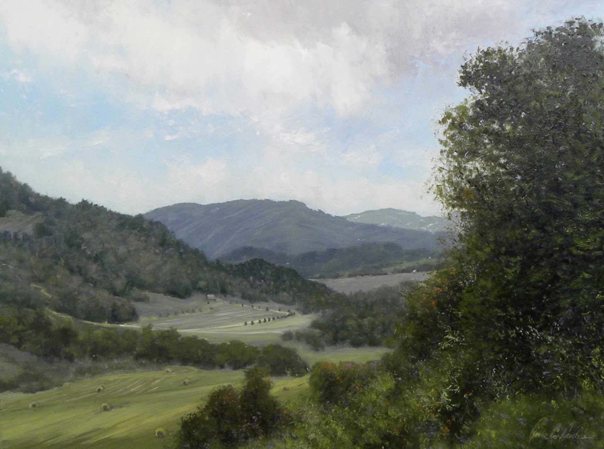 View From the Hilltop by Carolyn Crocker-Rue