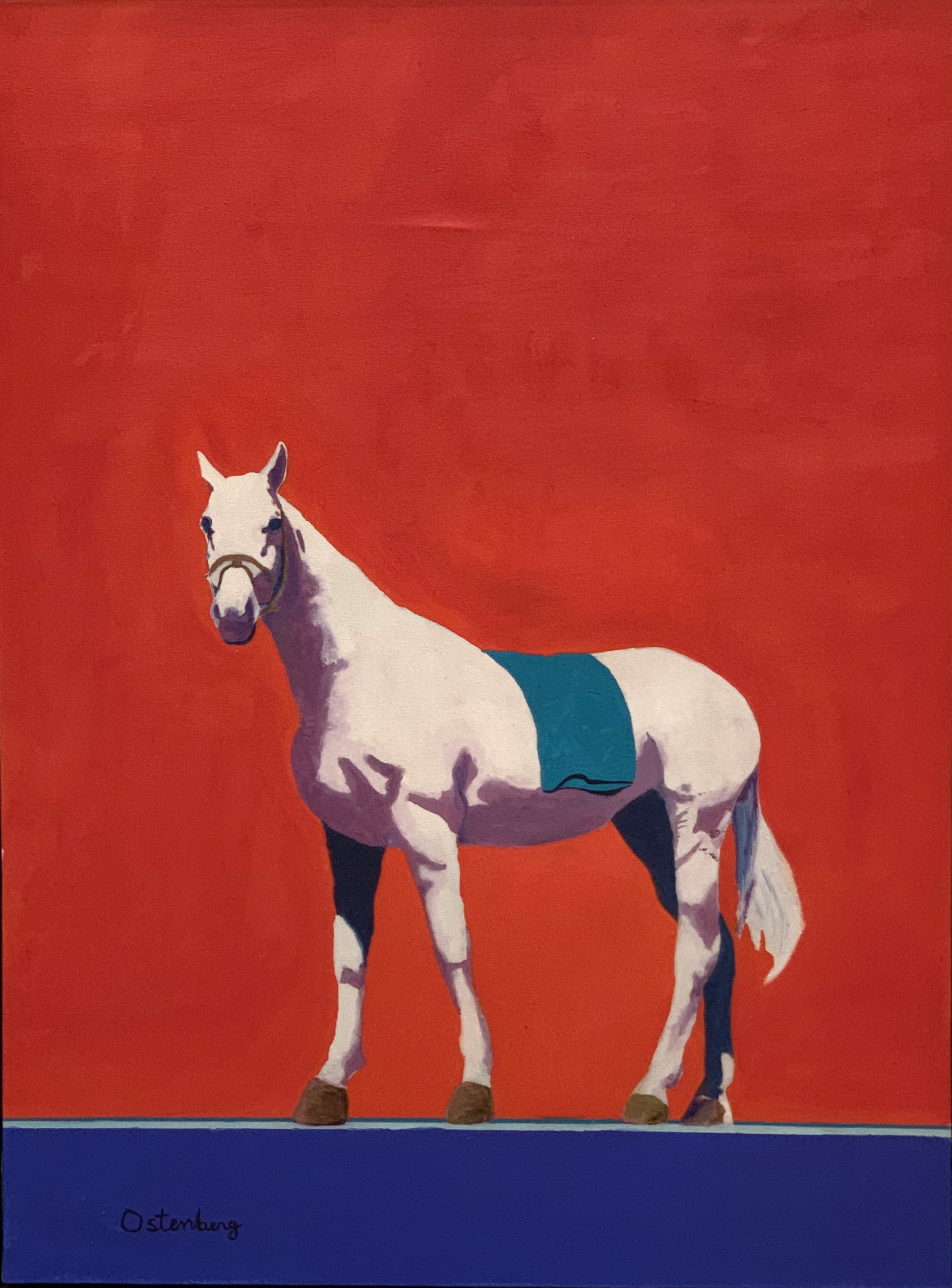 White Horse by Thomas Ostenberg