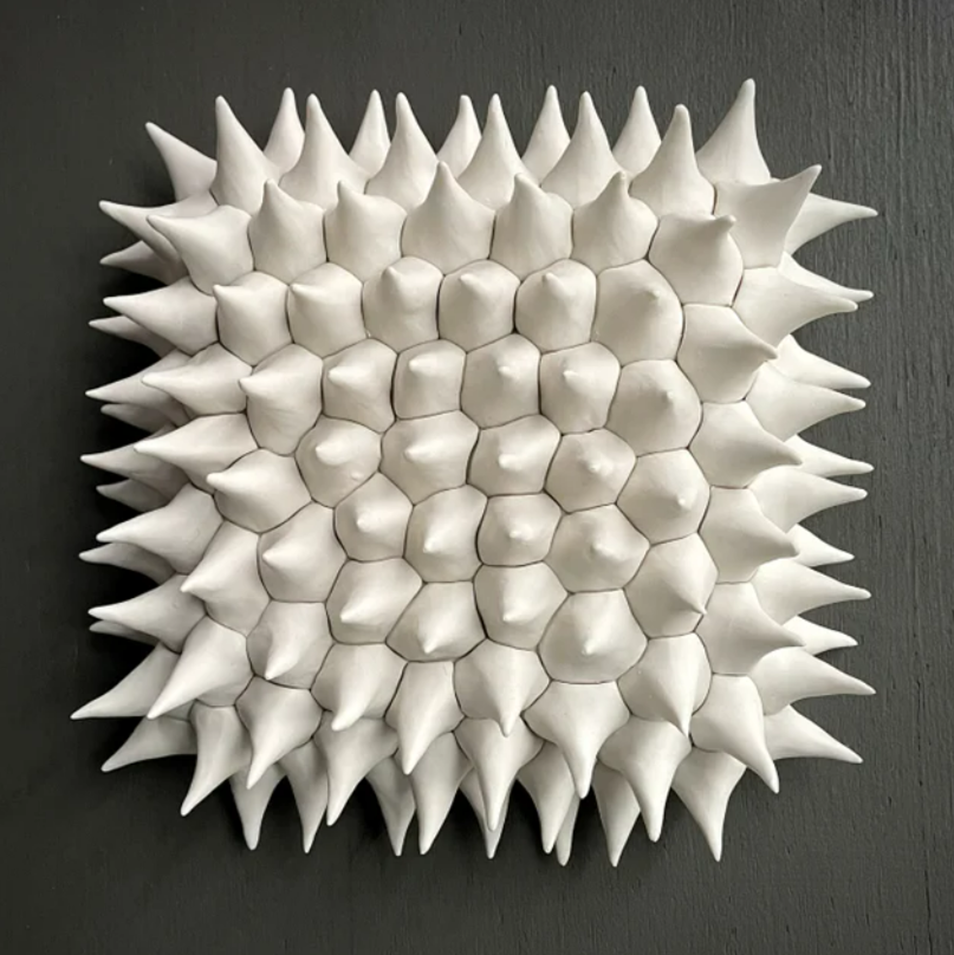 Durian Wall Tile in White by Heather Knight