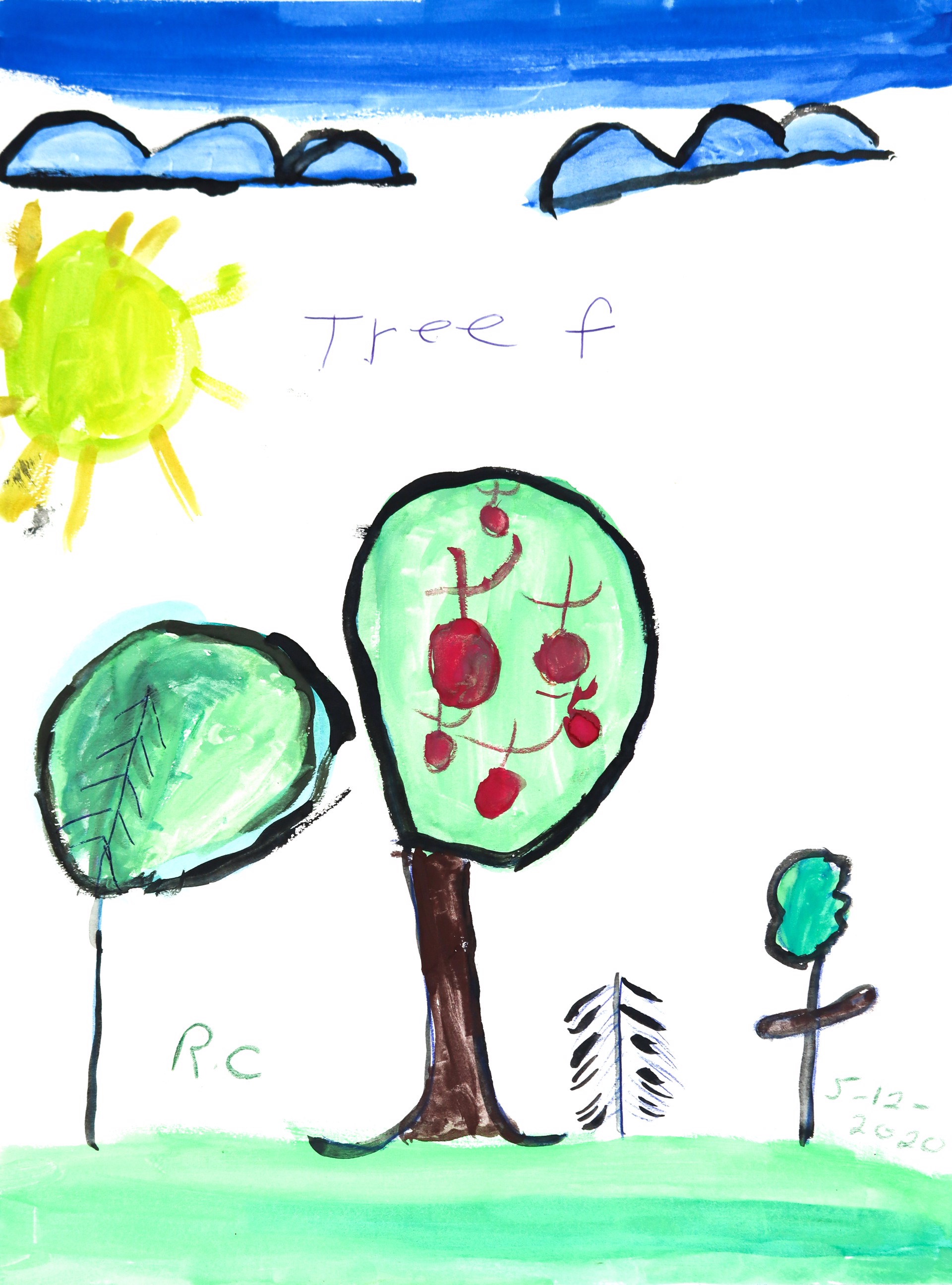 Treef 1 by Robert Corcoran