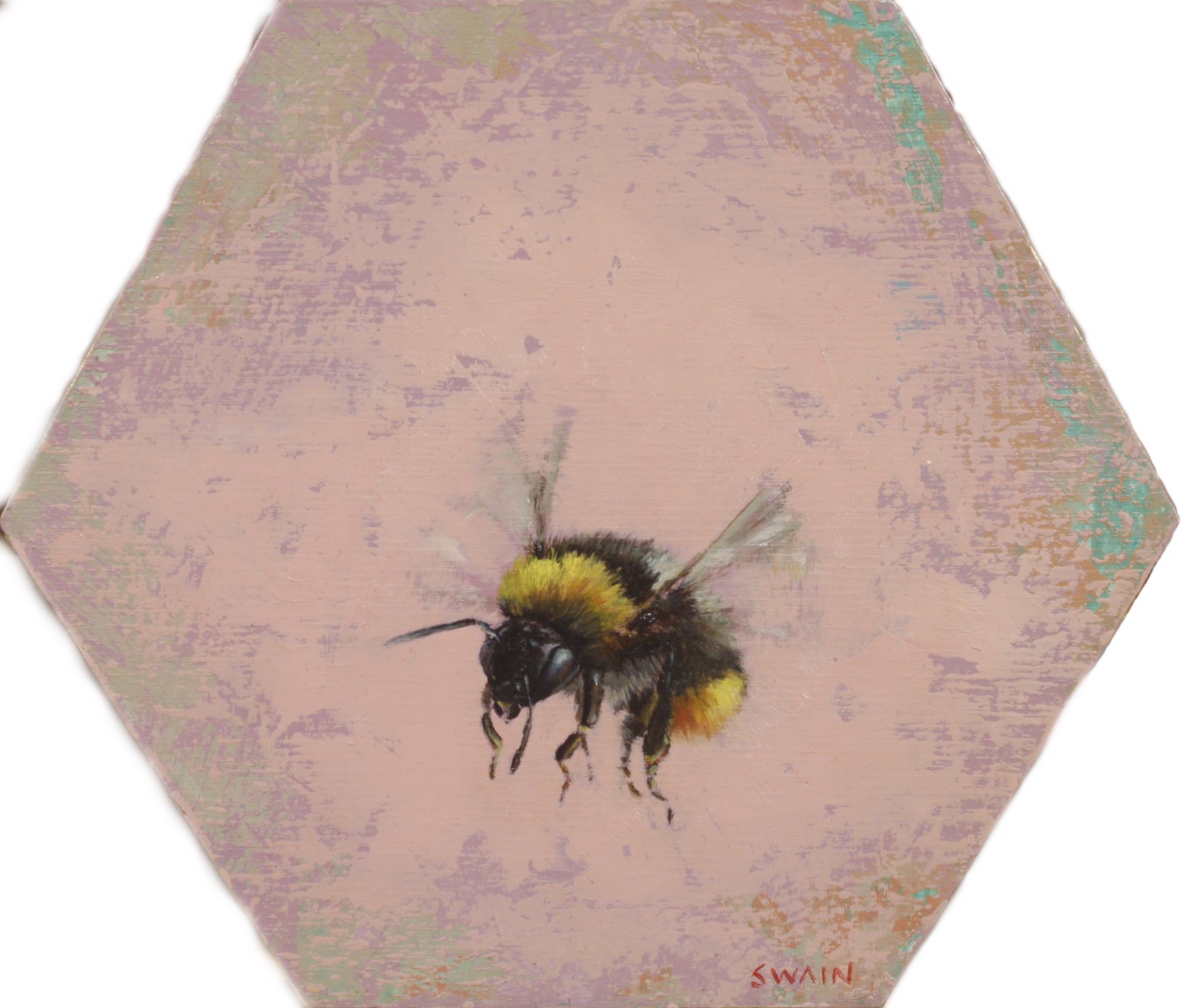 Bee 1 by Tyler Swain