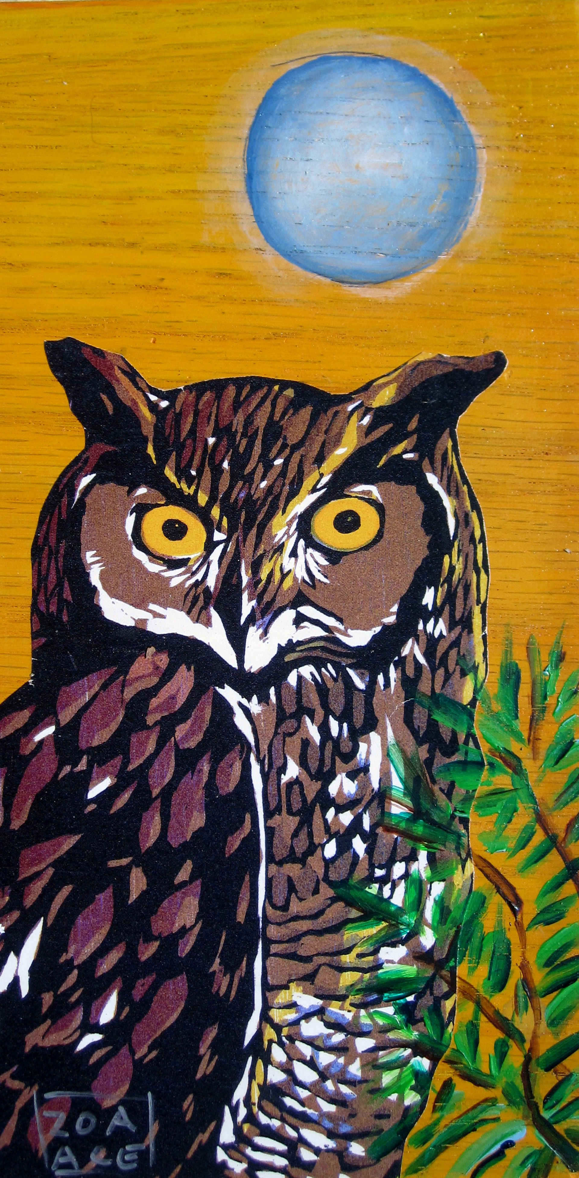 Night Owl by Zoa Ace
