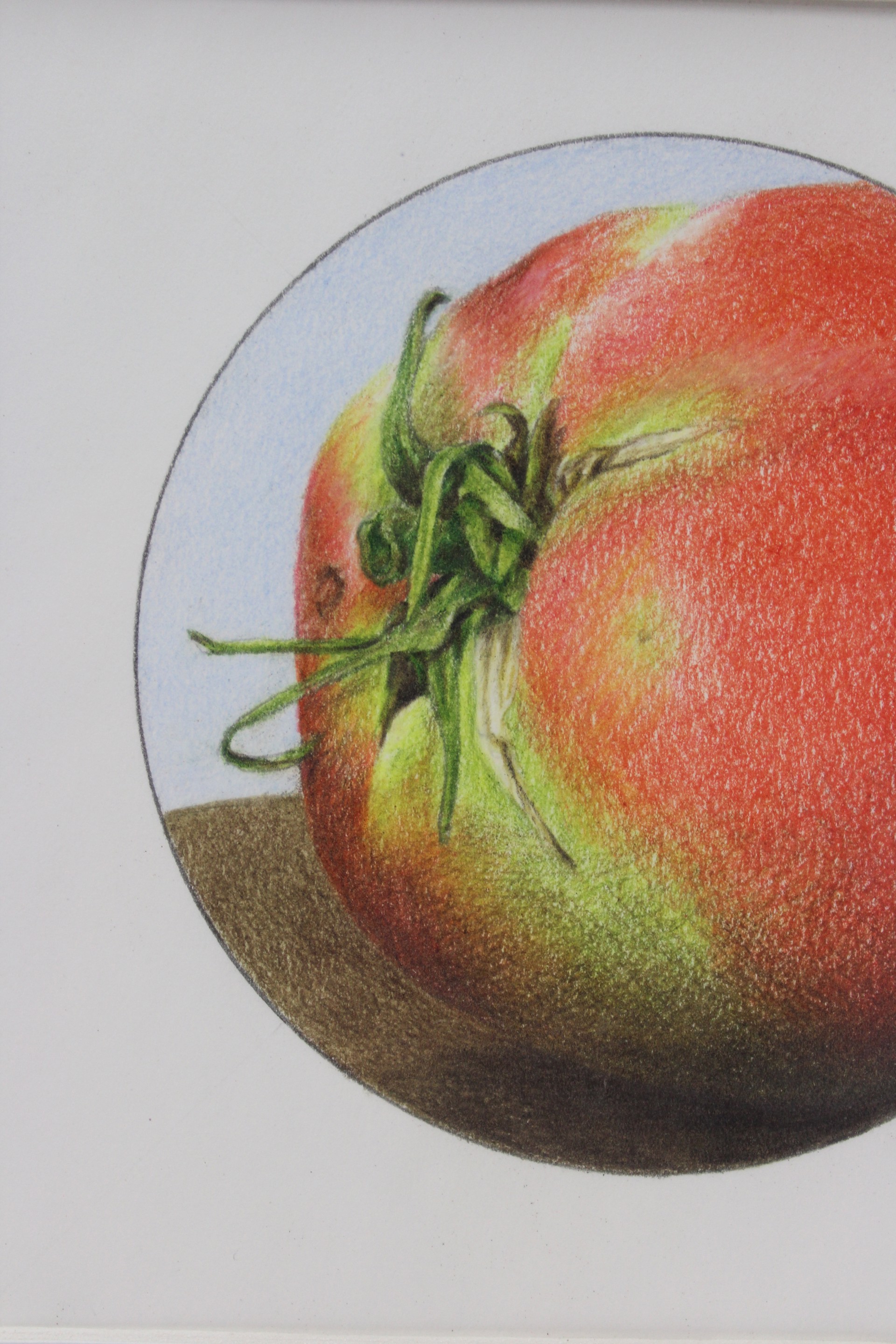 Tomato by Mary Lee Eggart