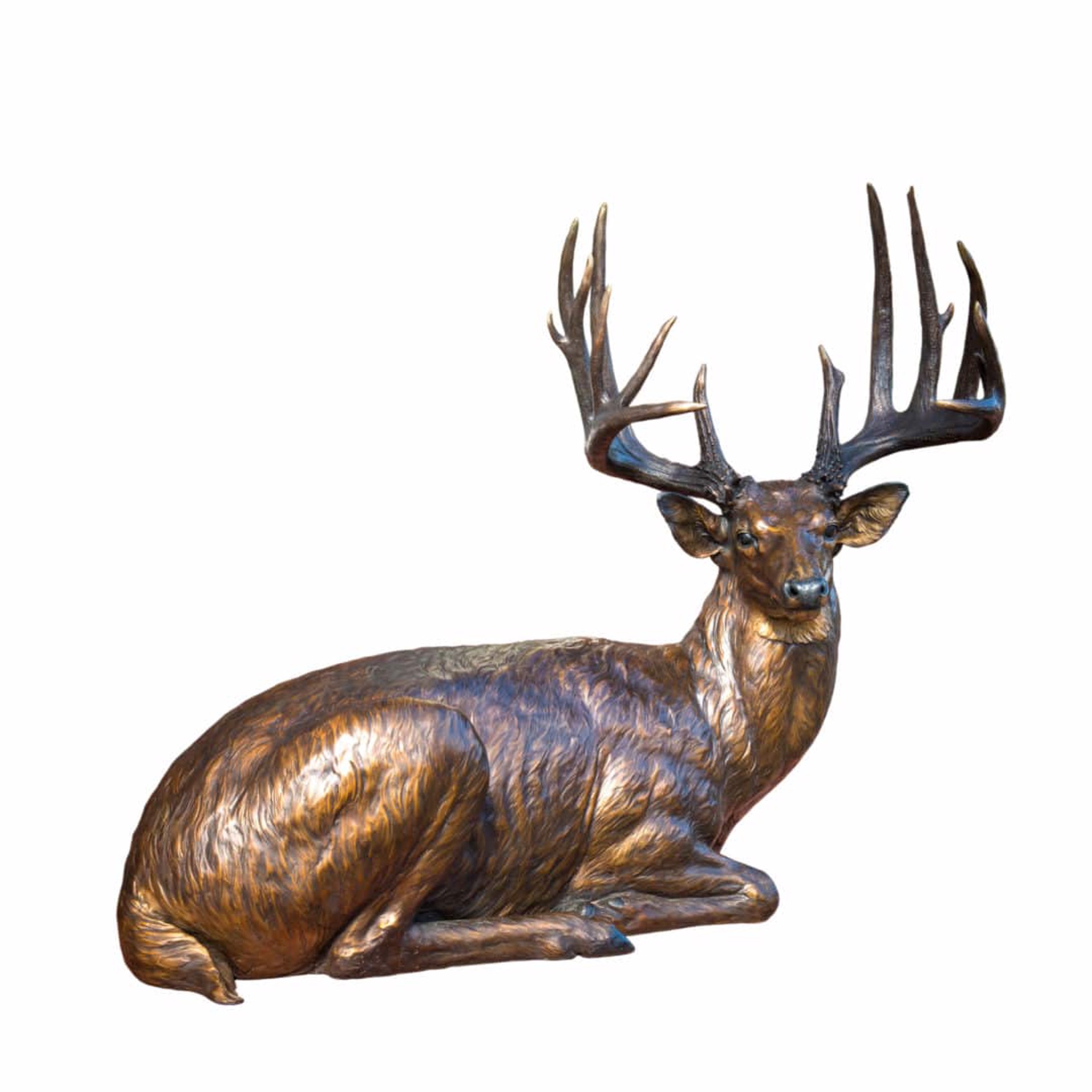 Life Size Whitetail Deer Original Bronze Sculpture by Rip and Alison Caswell, Contemporary Fine Art, Modern Wildlife Art, Available At Gallery Wild