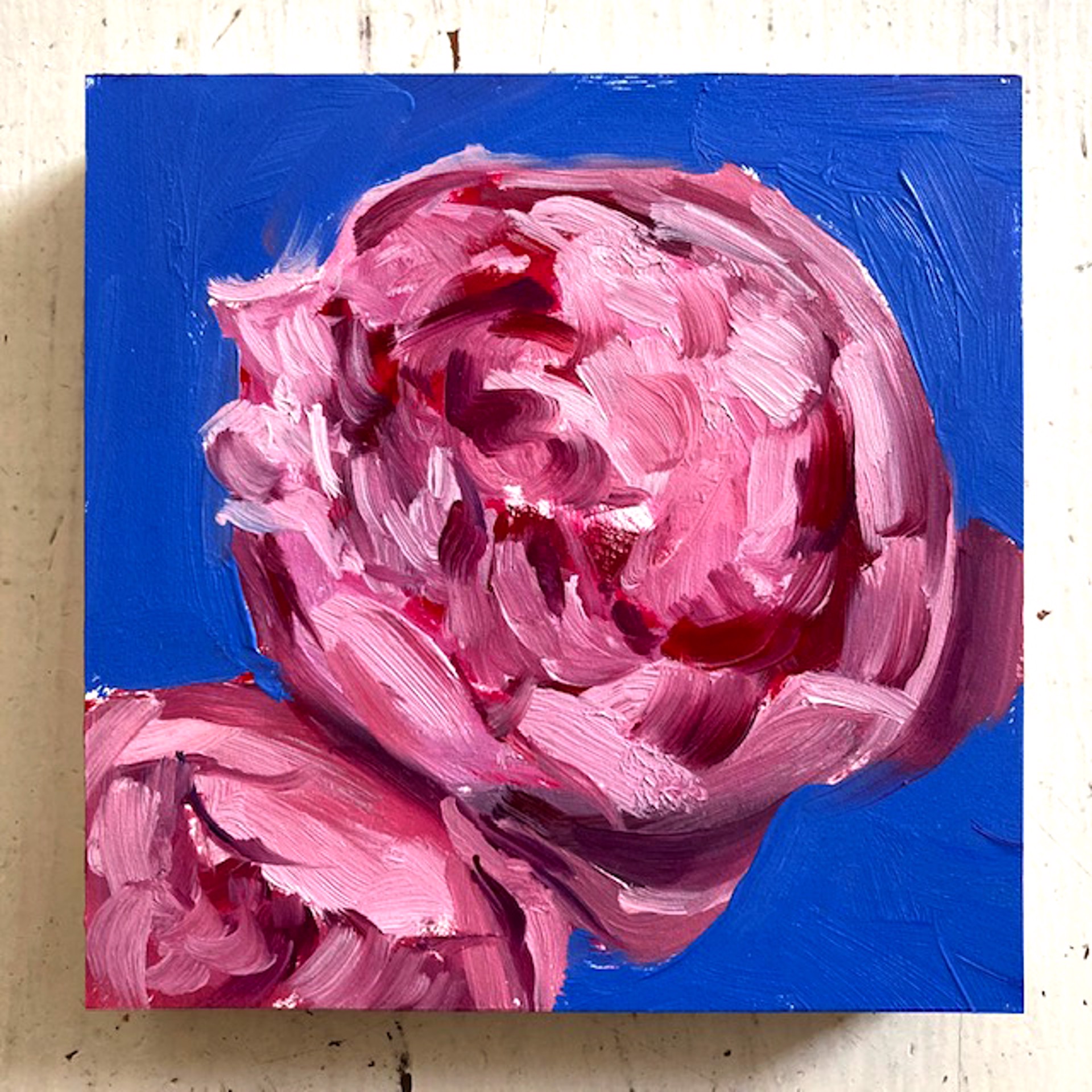 Peony Project #29 by Amy R. Peterson*